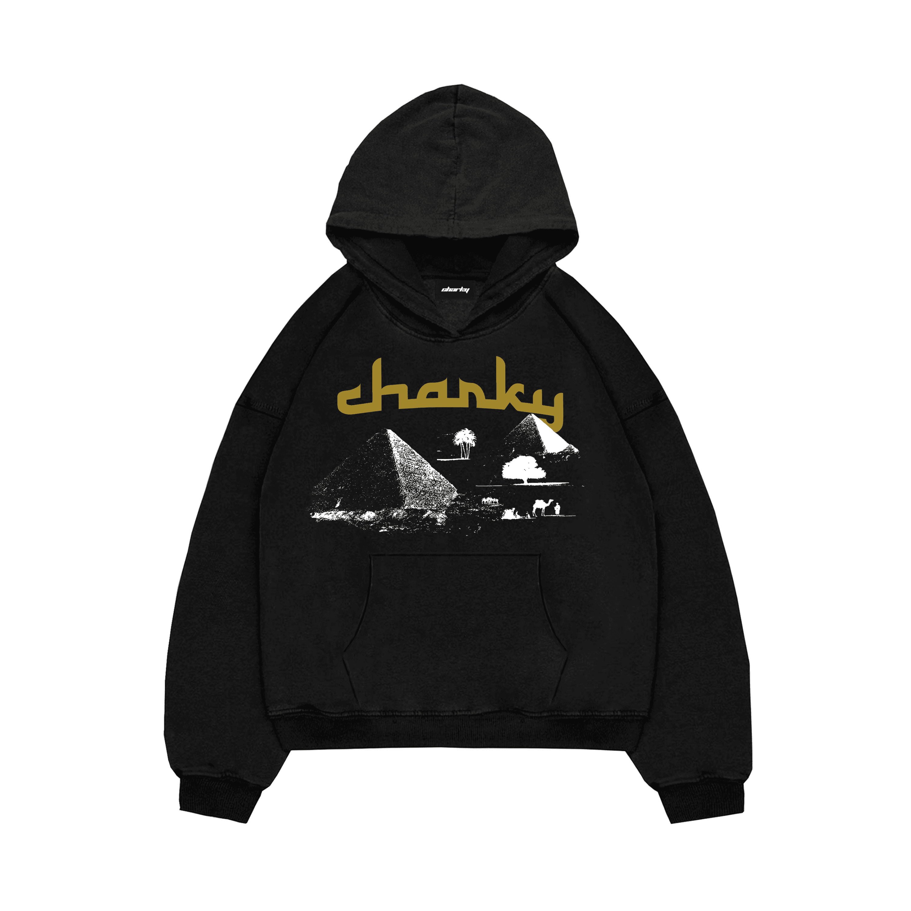 CHARKY OVERSIZE HOODIE SW11