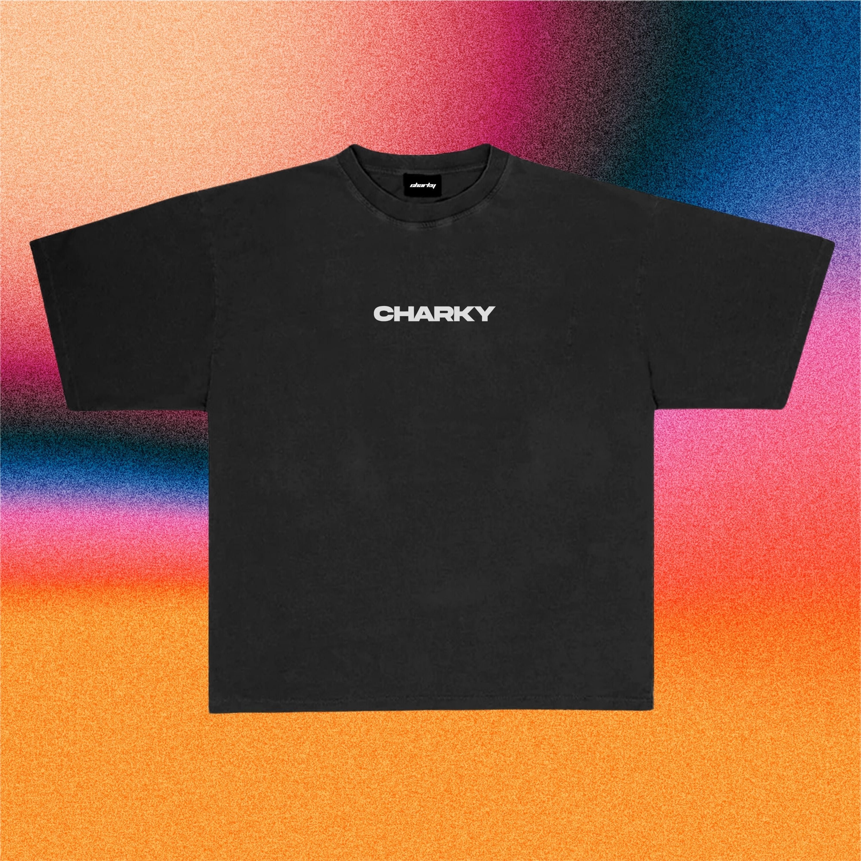 CHARKY WHITE OVERSIZE TEE TS76