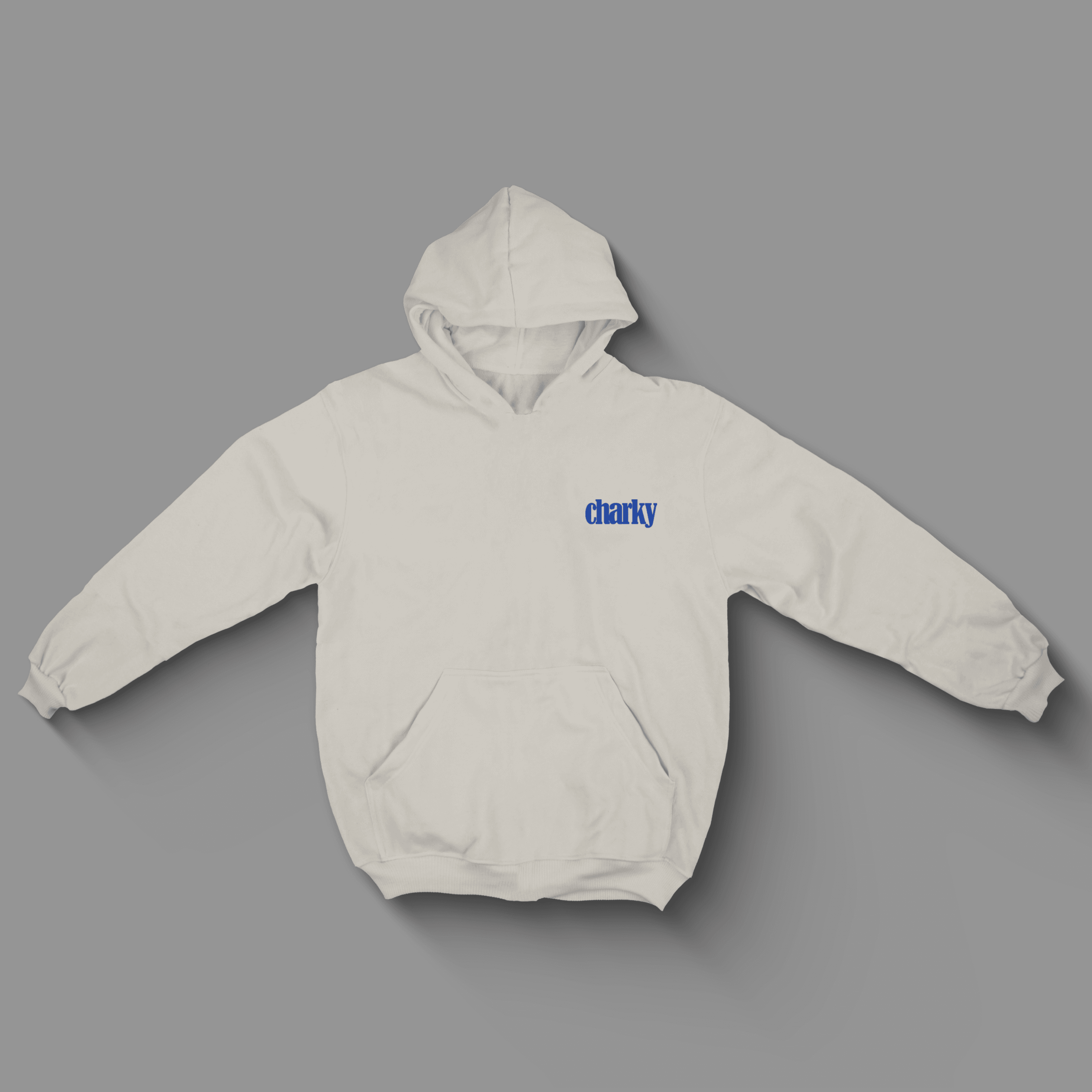 CHARKY OVERSIZE HOODIE BH3