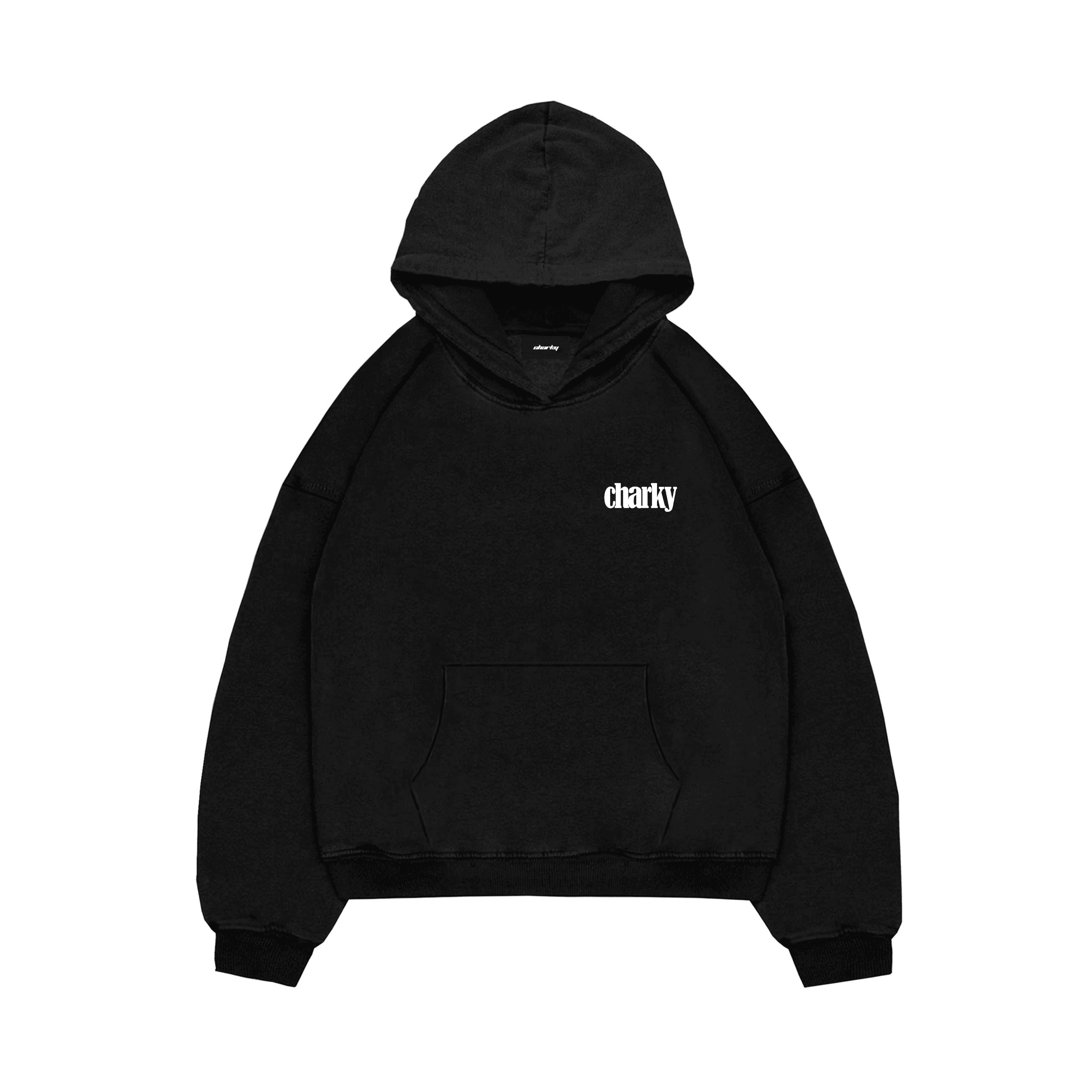 CHARKY OVERSIZE HOODIE SW23