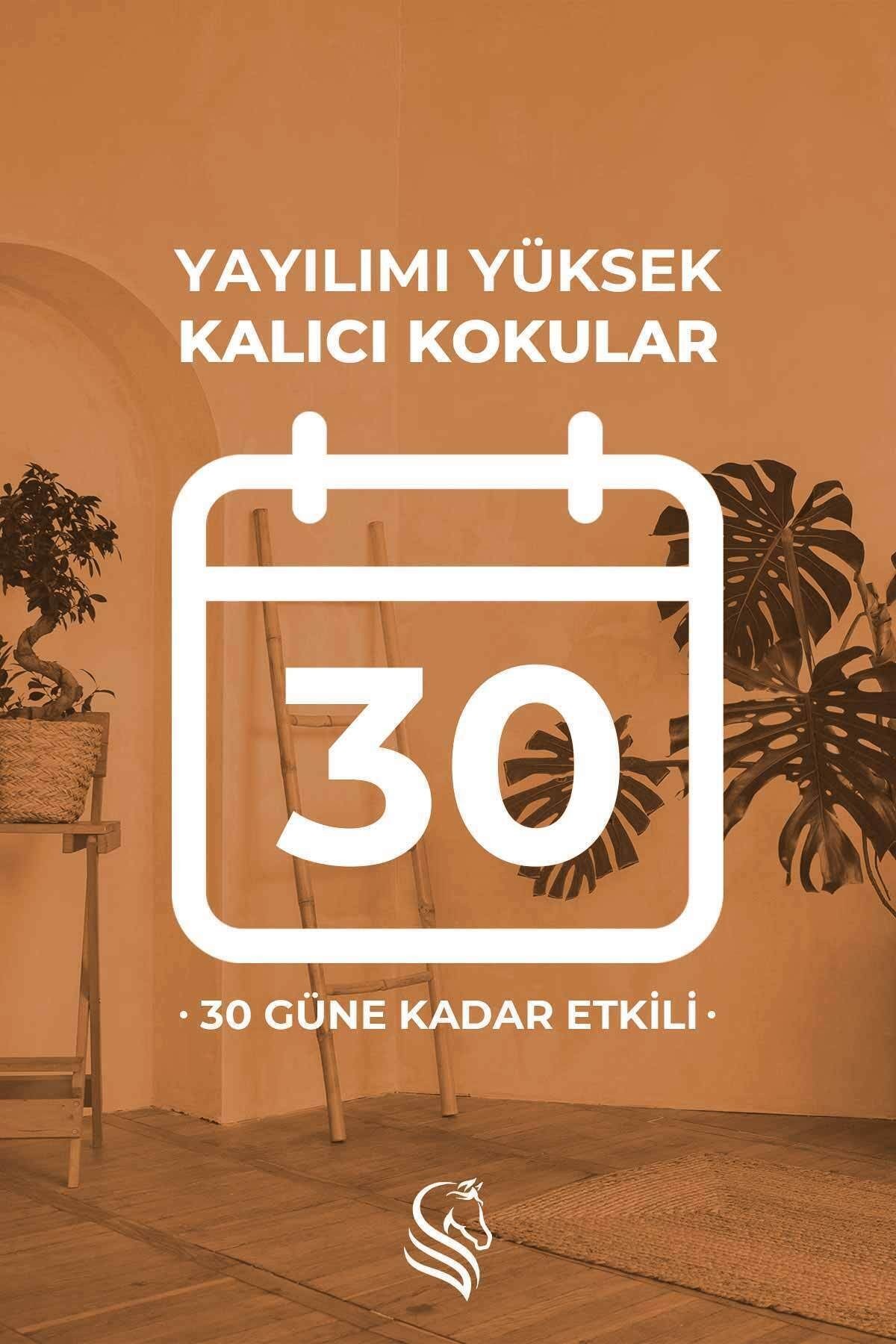 Mango Çubuklu Oda Kokusu Reed Diffuser 100ml
