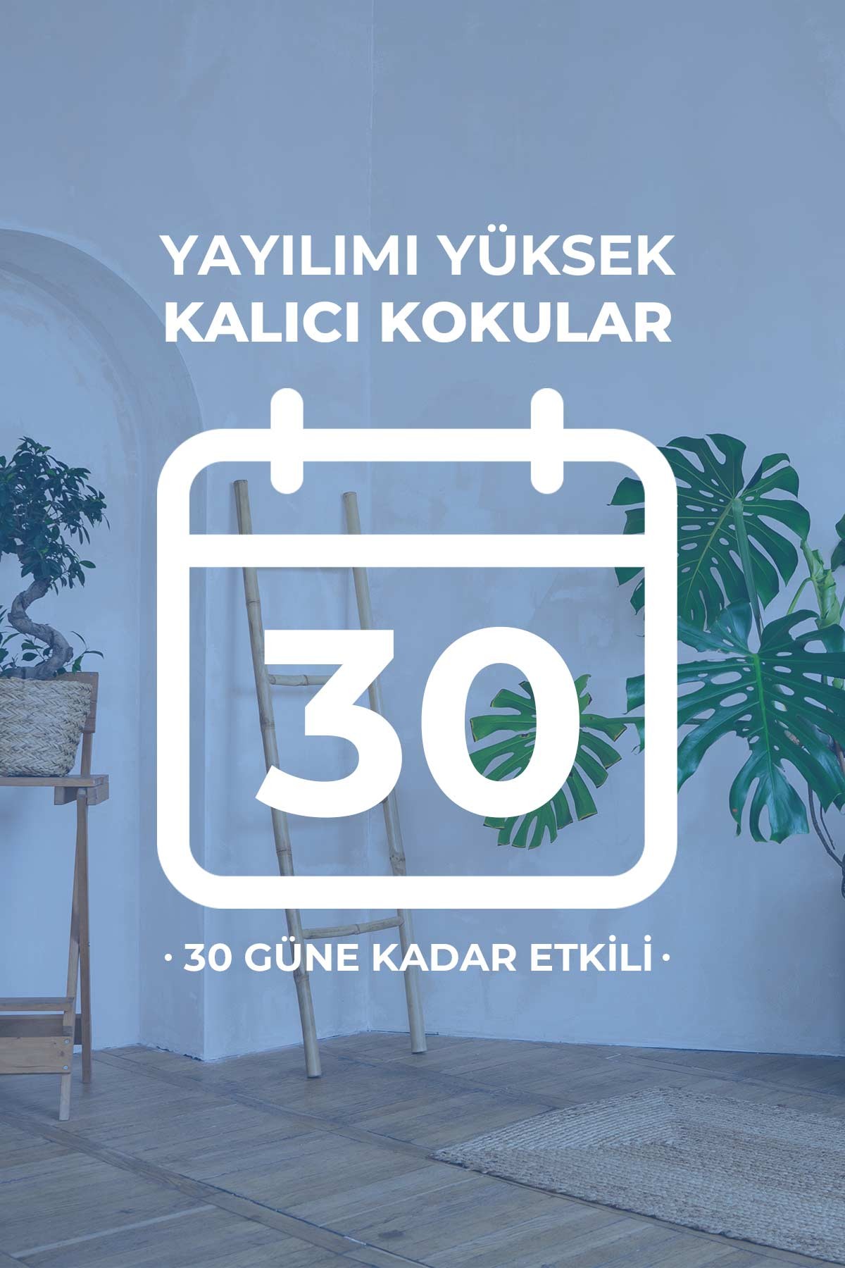 Bambu Çubuklu Hamam Oda Kokusu (Marselli) 50 ML