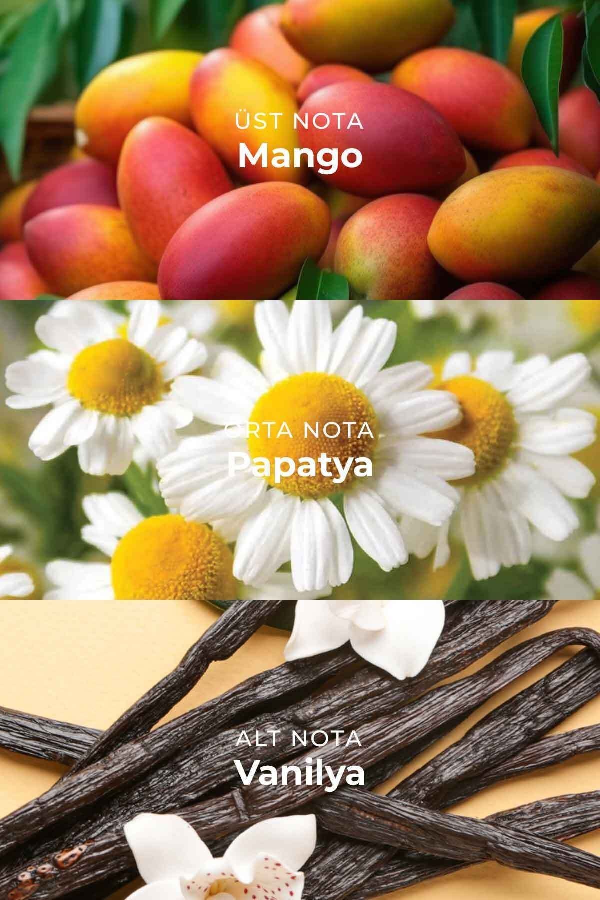 Mango Çubuklu Oda Kokusu Reed Diffuser 100ml