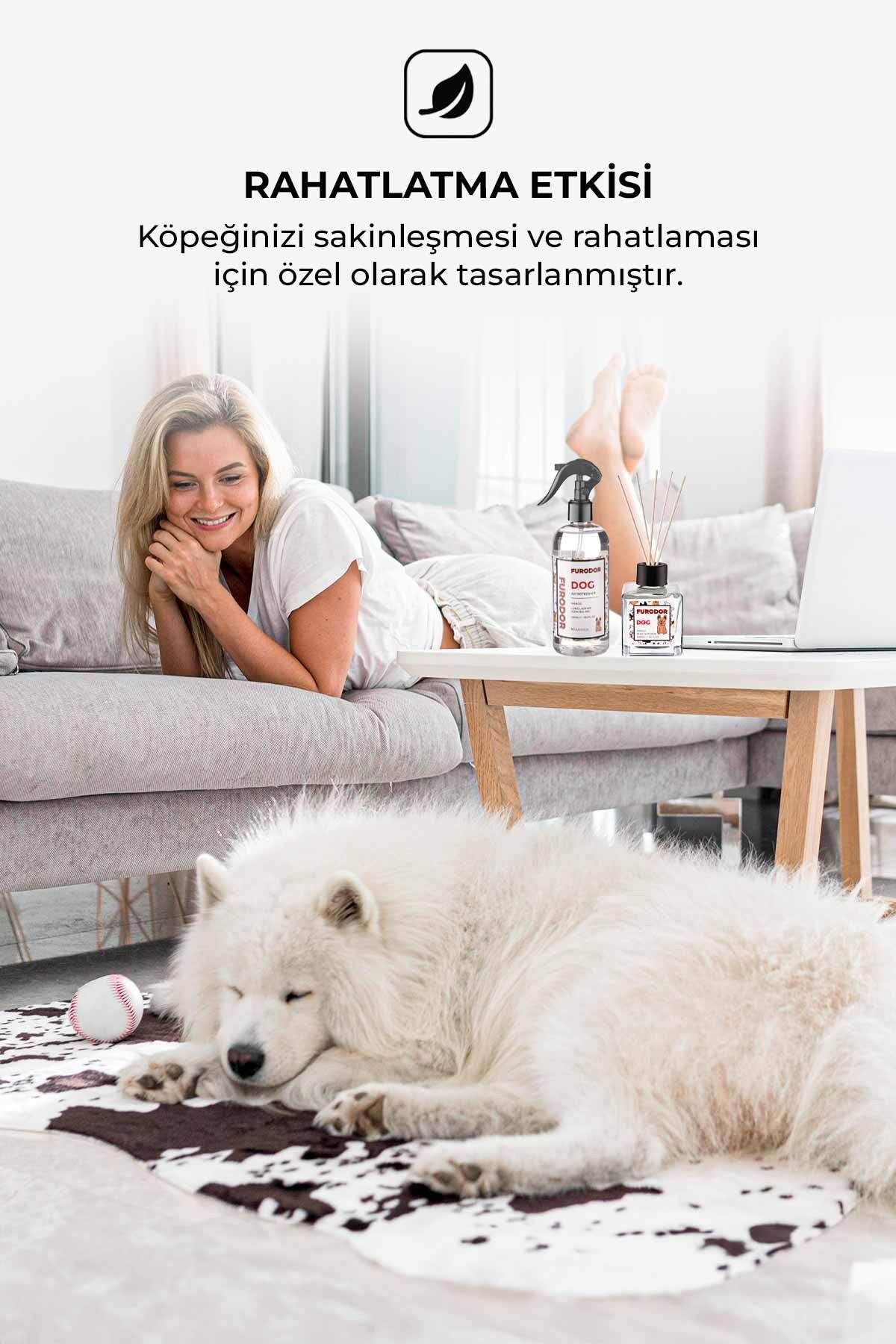 Köpekler Için Özel Mango Oda Kokusu Dog Mango Reed Diffuser 100ml