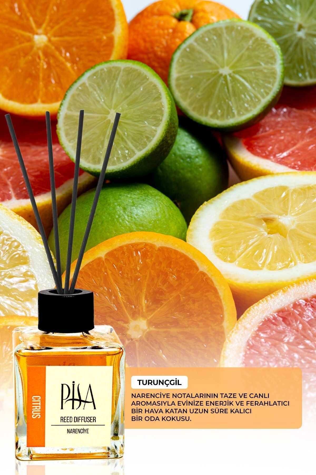 Turunçgil Çubuklu Oda Kokusu Citrus Reed Diffuser 100ml