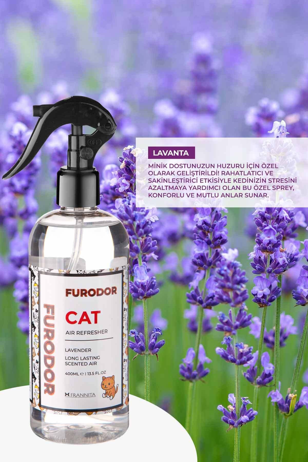 Kediler için Özel Lavanta Oda Kokusu Cat Lavender Air Refresher 400ml