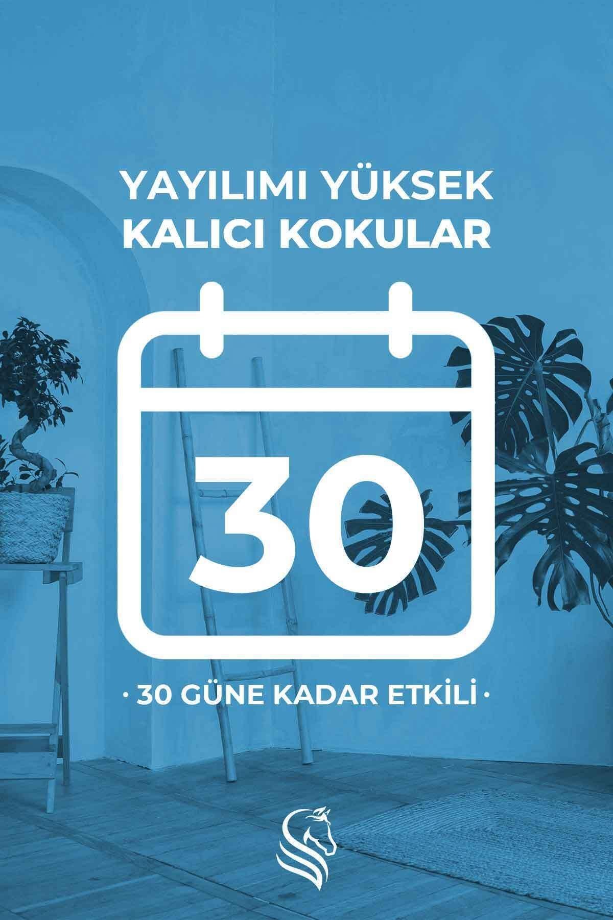 Çiçeksi Temizlik Hissi Çubuklu Oda Kokusu Clean Breeze Reed Diffuser 100ml