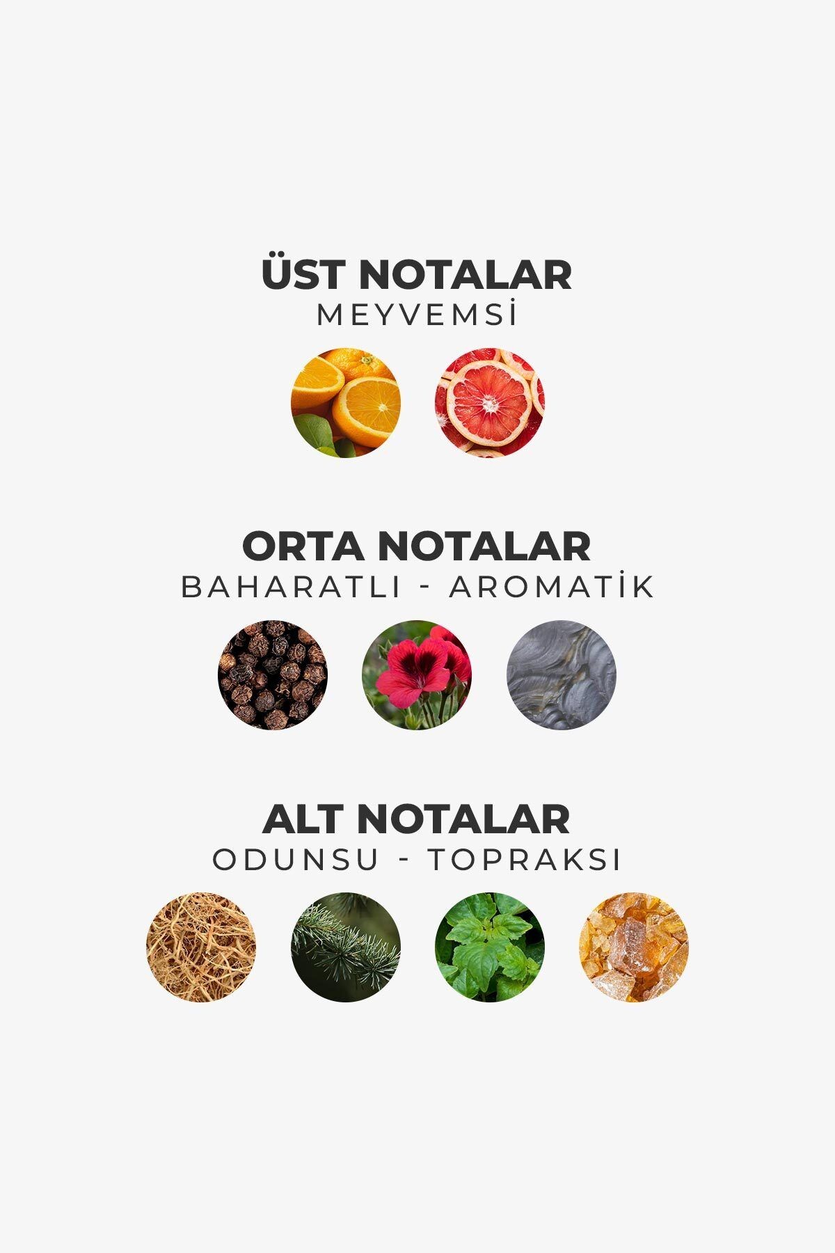 Gent Tierra Odunsu Uzun Süre Kalıcı 100 ml Edt Erkek Parfüm