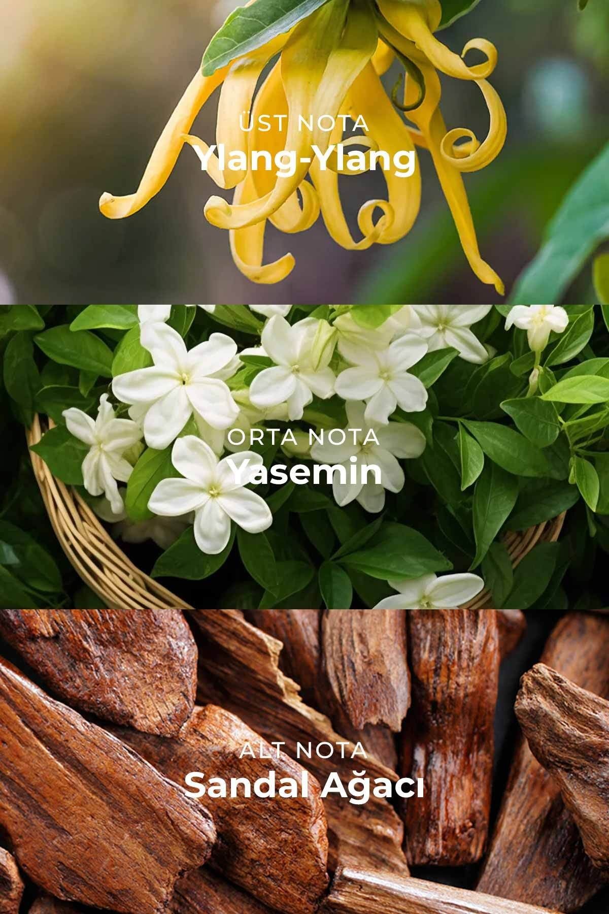 Grand No.5 Floral Aldehyde Kadın Parfüm Edp 50 Ml. W-025