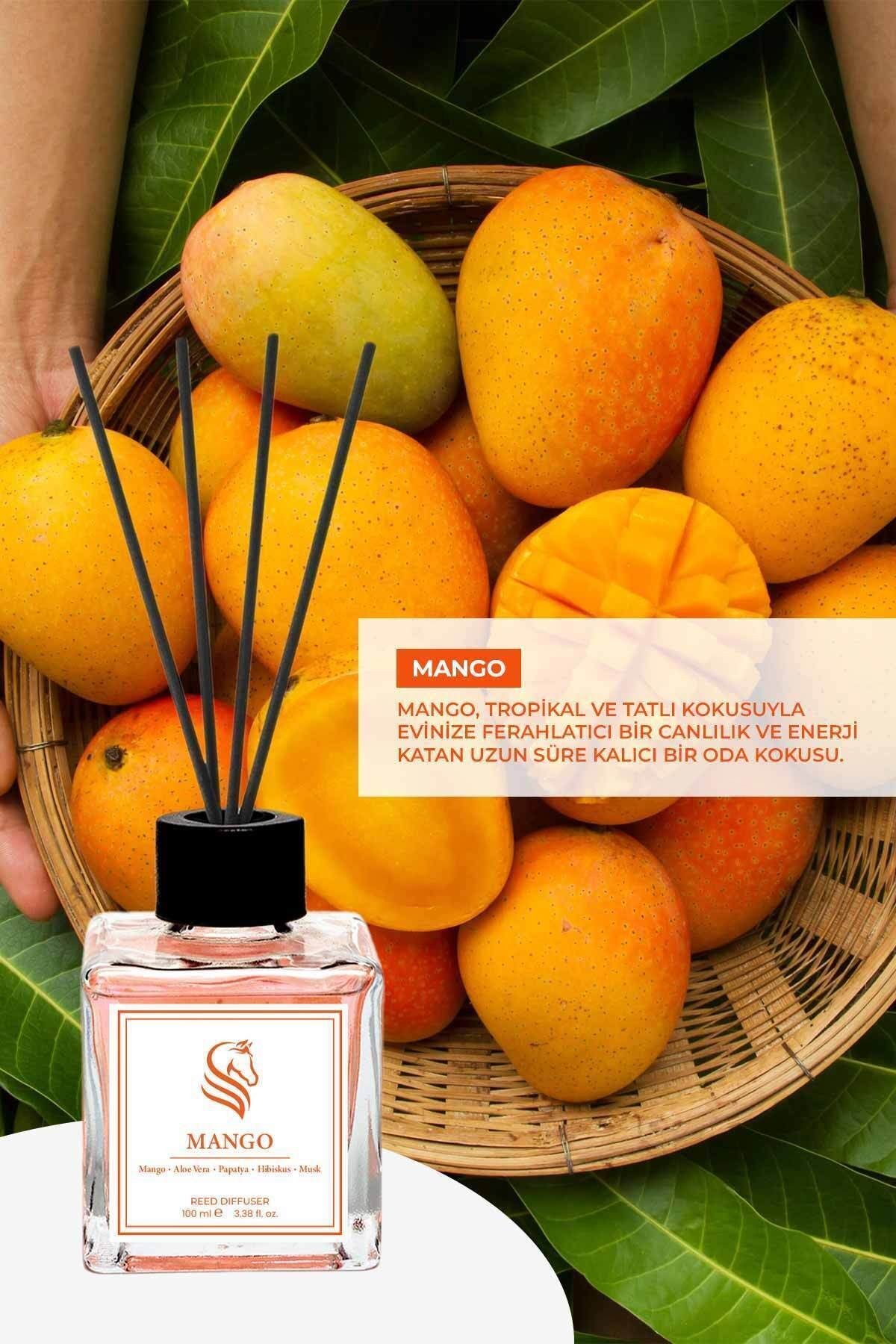 Mango Çubuklu Oda Kokusu Reed Diffuser 100ml