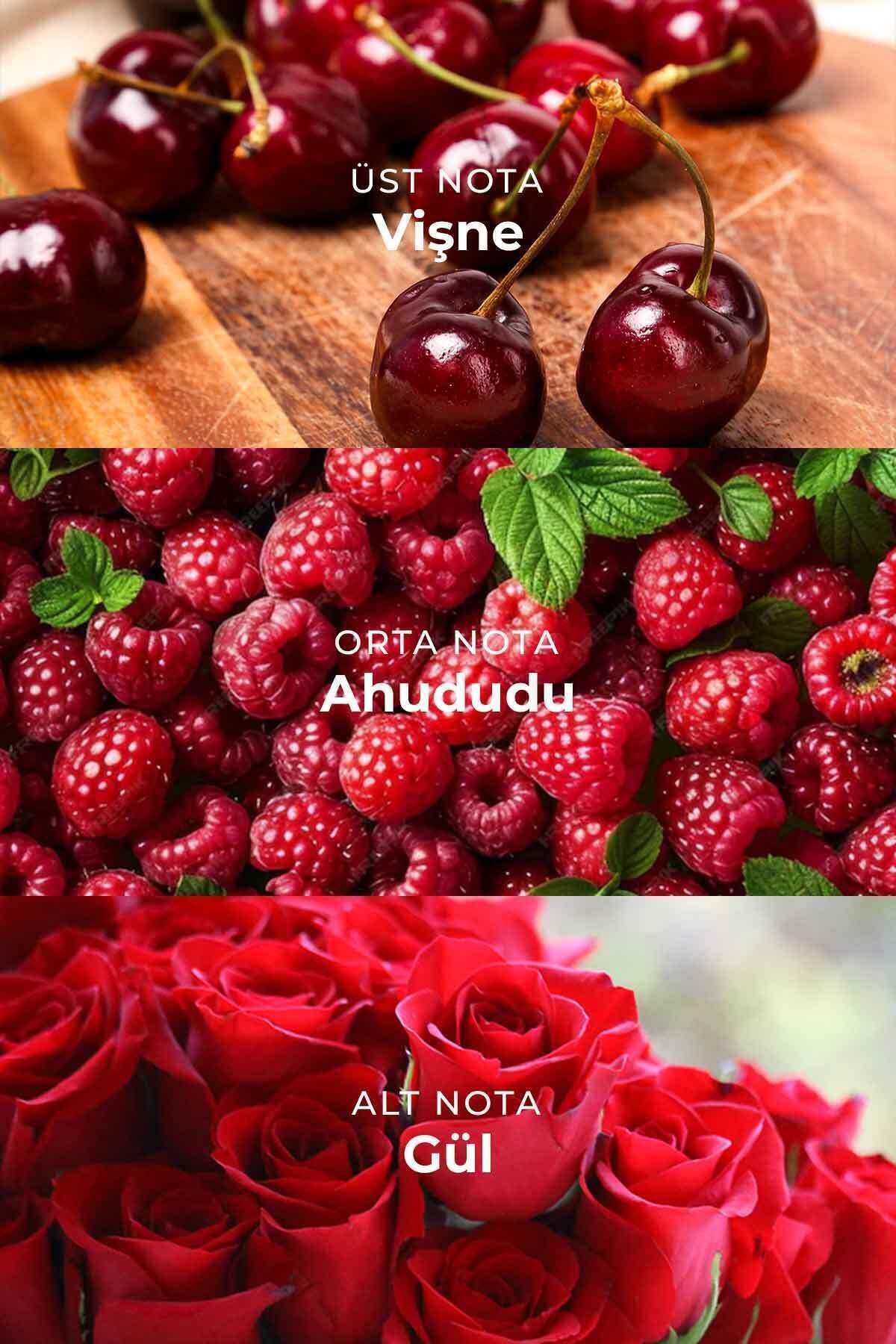 Manolya Kiraz Çubuklu Oda Kokusu Magnolia Cherry Reed Diffuser 100ml