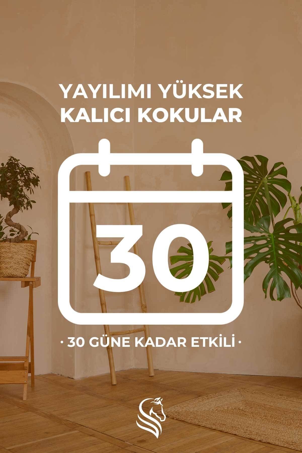 Sandal Ağacı Kokulu Çubuklu Oda Kokusu 110 ml