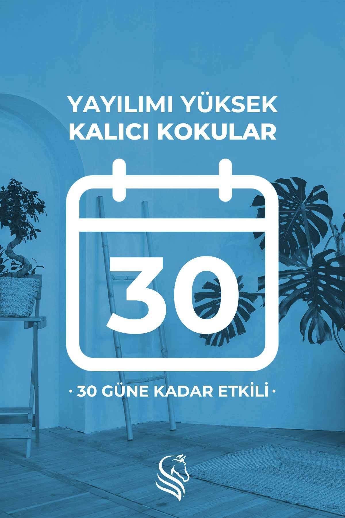 Çiçekli Dekoratif Özel Gün Hediye Kutulu Temizlik Hissi Oda Kokusu 100ml