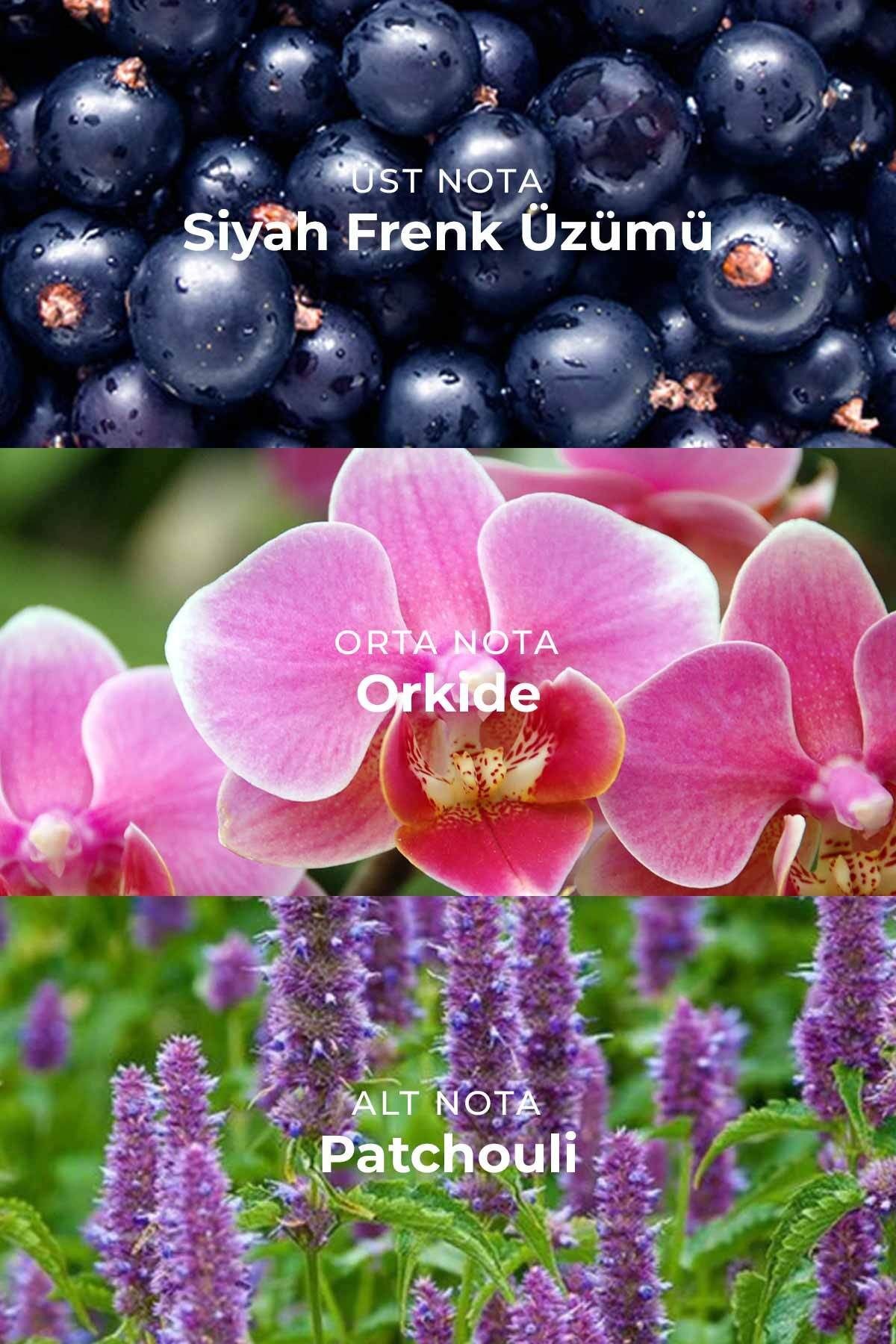 U-007 Orchid Edp Unisex Parfüm 50ml | Oryantal ve Çiçeksi