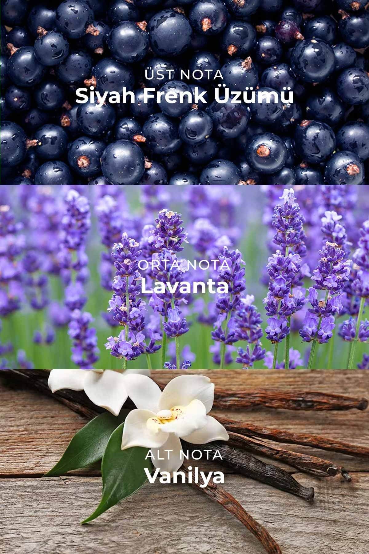 Purple Libre Oriental Çiçeksi Kalıcı 35ml Edp Kadın Parfüm