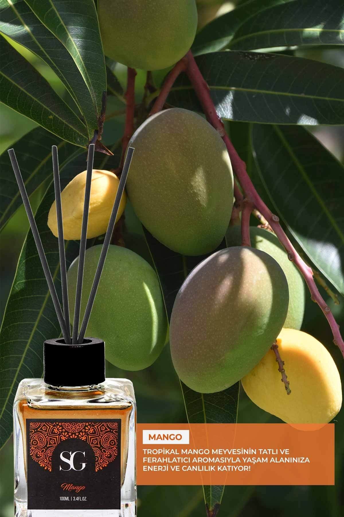Mango Kokulu Çubuklu Oda Kokusu Mango Reed Diffuser 100ml