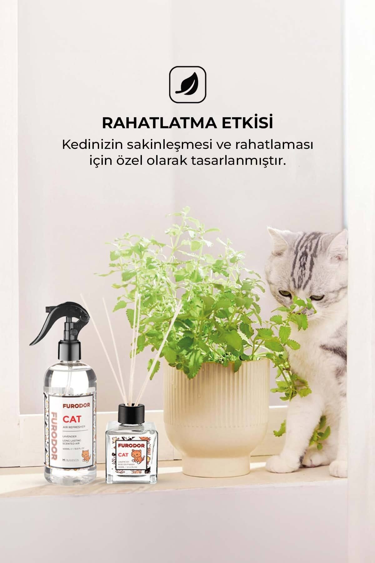 Evcil Hayvan Özel Koku Seti Kedi Lavanta 100ml Oda Kokusu ve 400ml Oda Spreyi