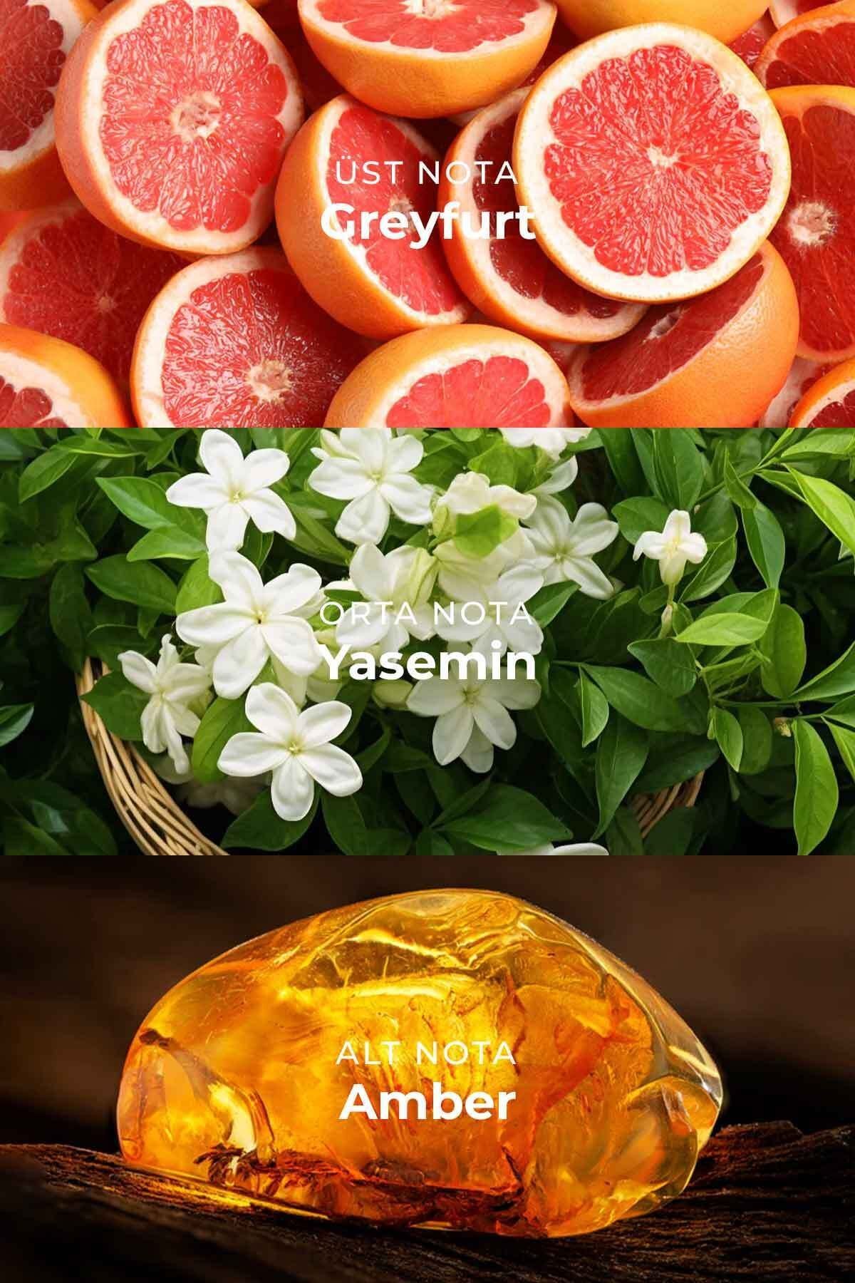 London Fresh Özel Seri Uzun Süre Kalıcı 100 ml Erkek Parfüm