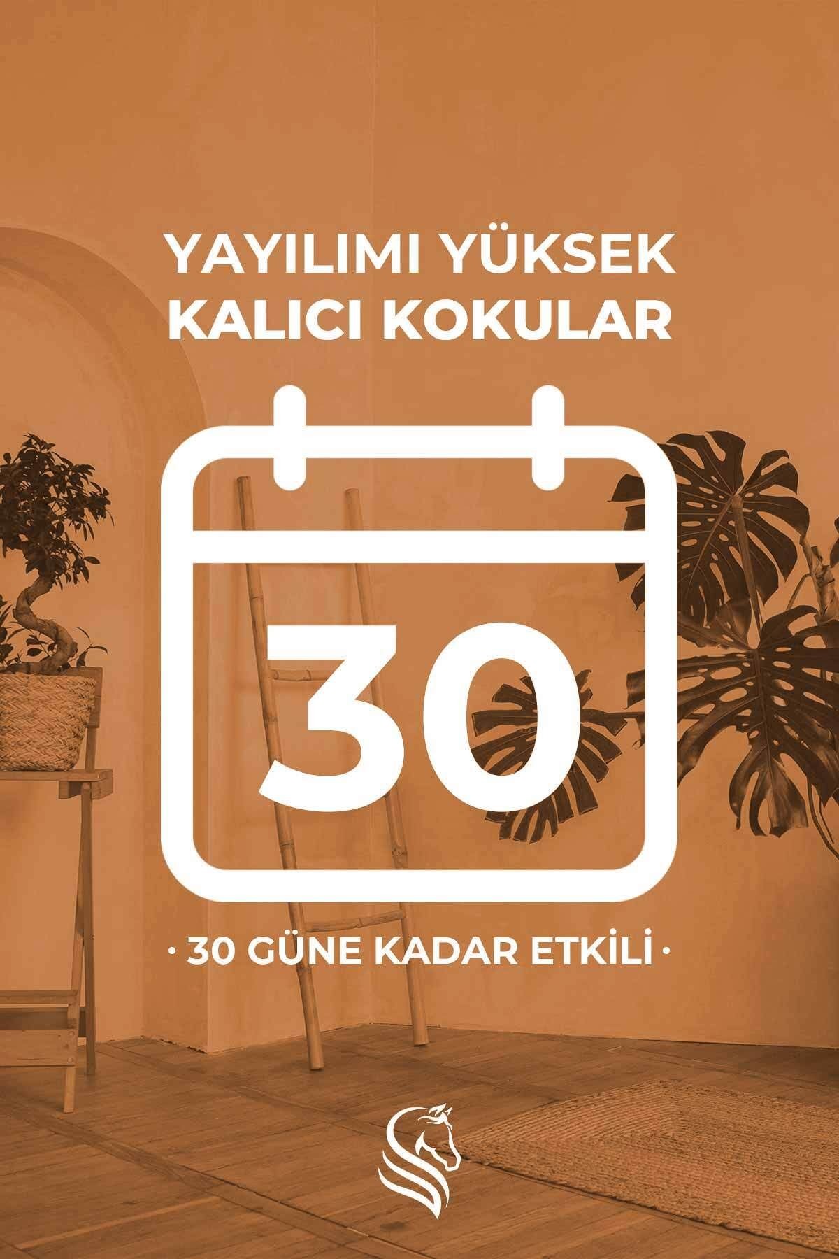 Amber Royal Oda Spreyi 400 ml