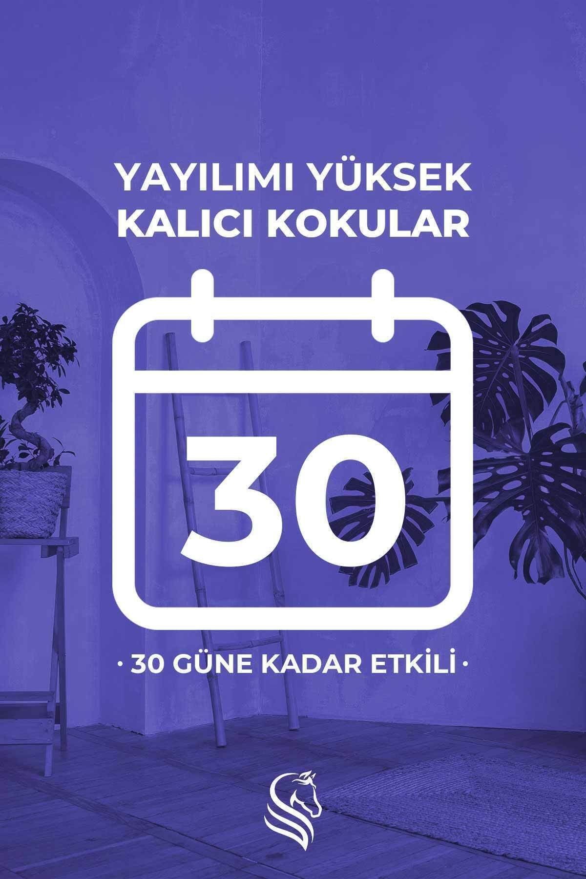 Sümbül Çubuklu Oda Kokusu Hyacinth Reed Diffuser 100ml