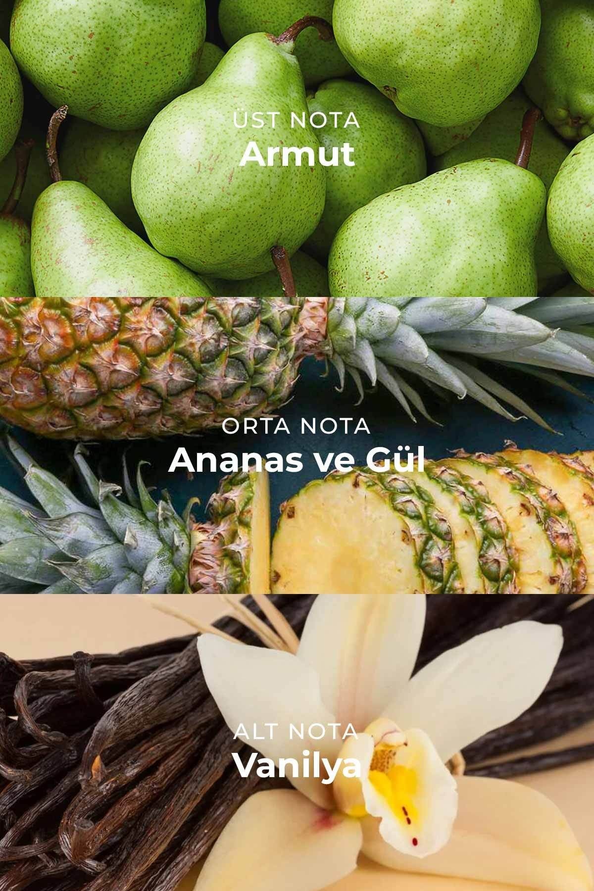 Grand Kadın Parfümü W-010