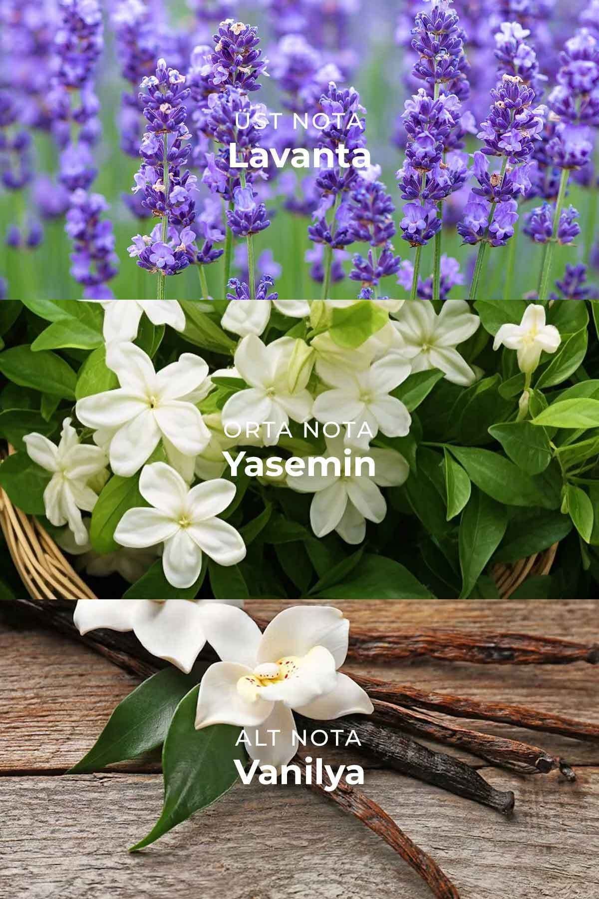 Wonder Garden Çiçeksi Libre Kadın Parfümü Edp 100 Ml.