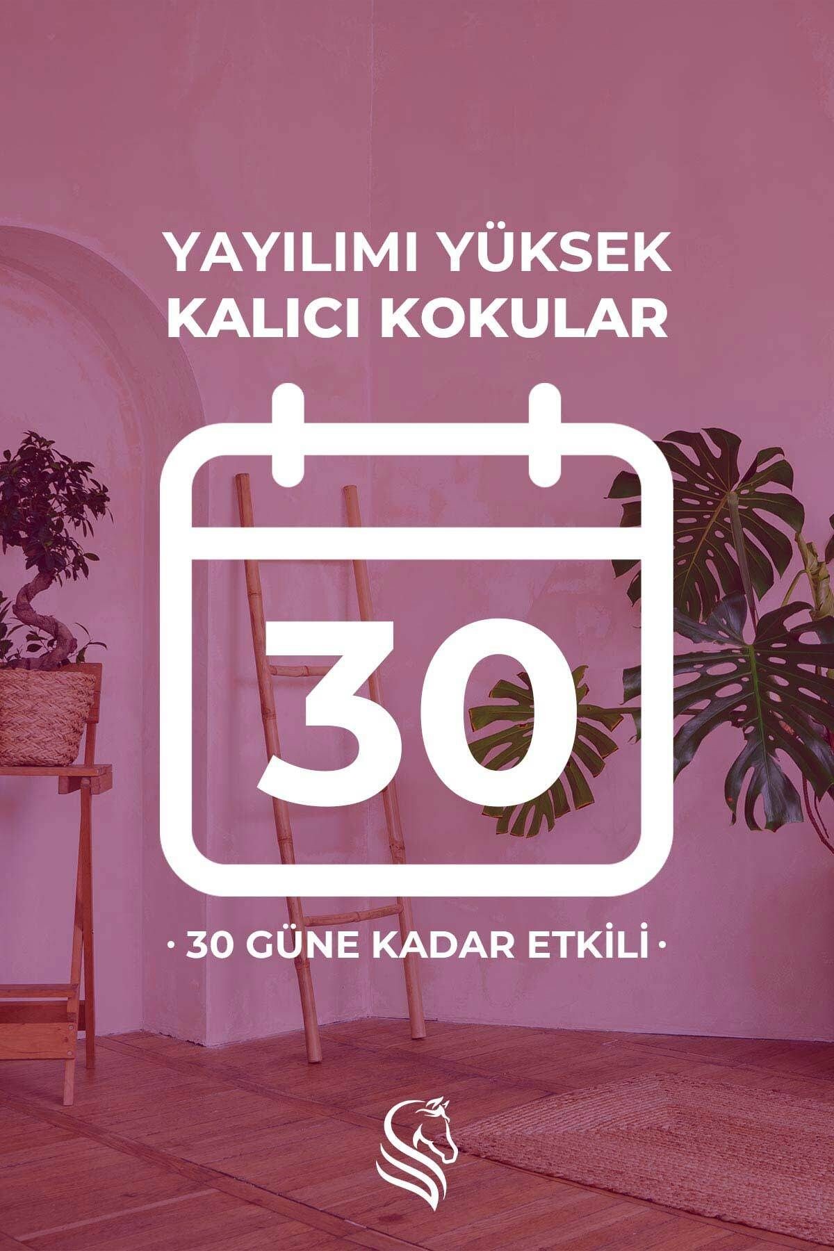 - Bambu Çubuklu Oda Kokusu - Angel - 100ml