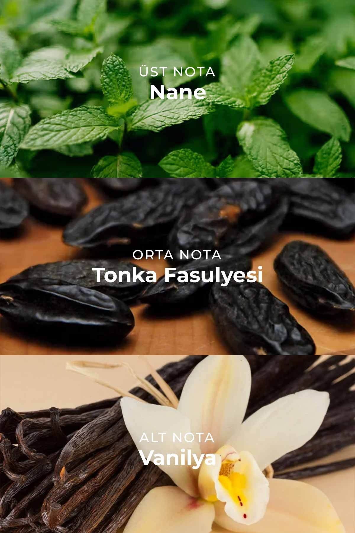 GRAND M008 ERKEK PARFÜ