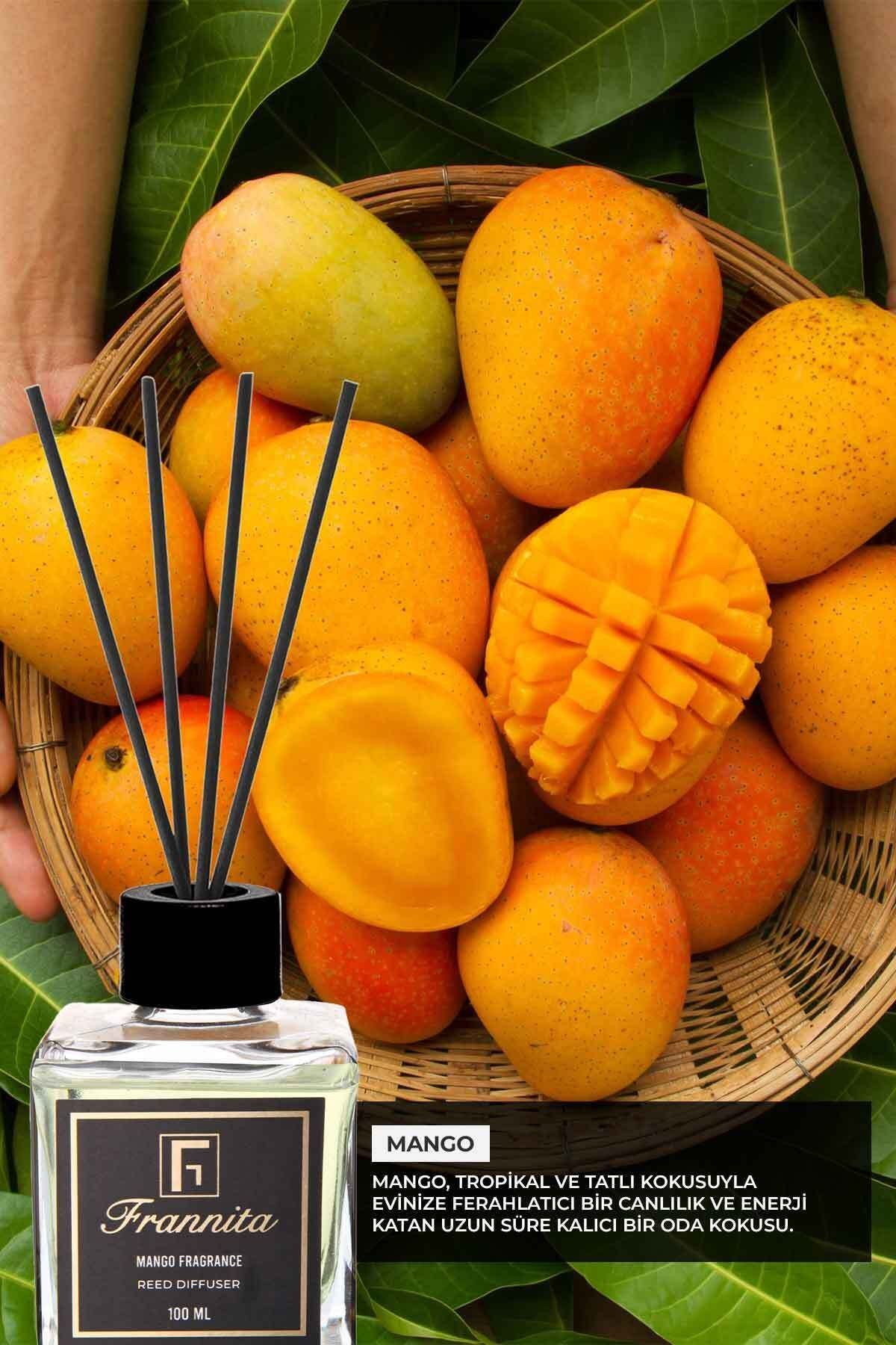 Esans Oranı Yüksek 100 Ml Mango Kokulu Oda Kokusu 1 Adet