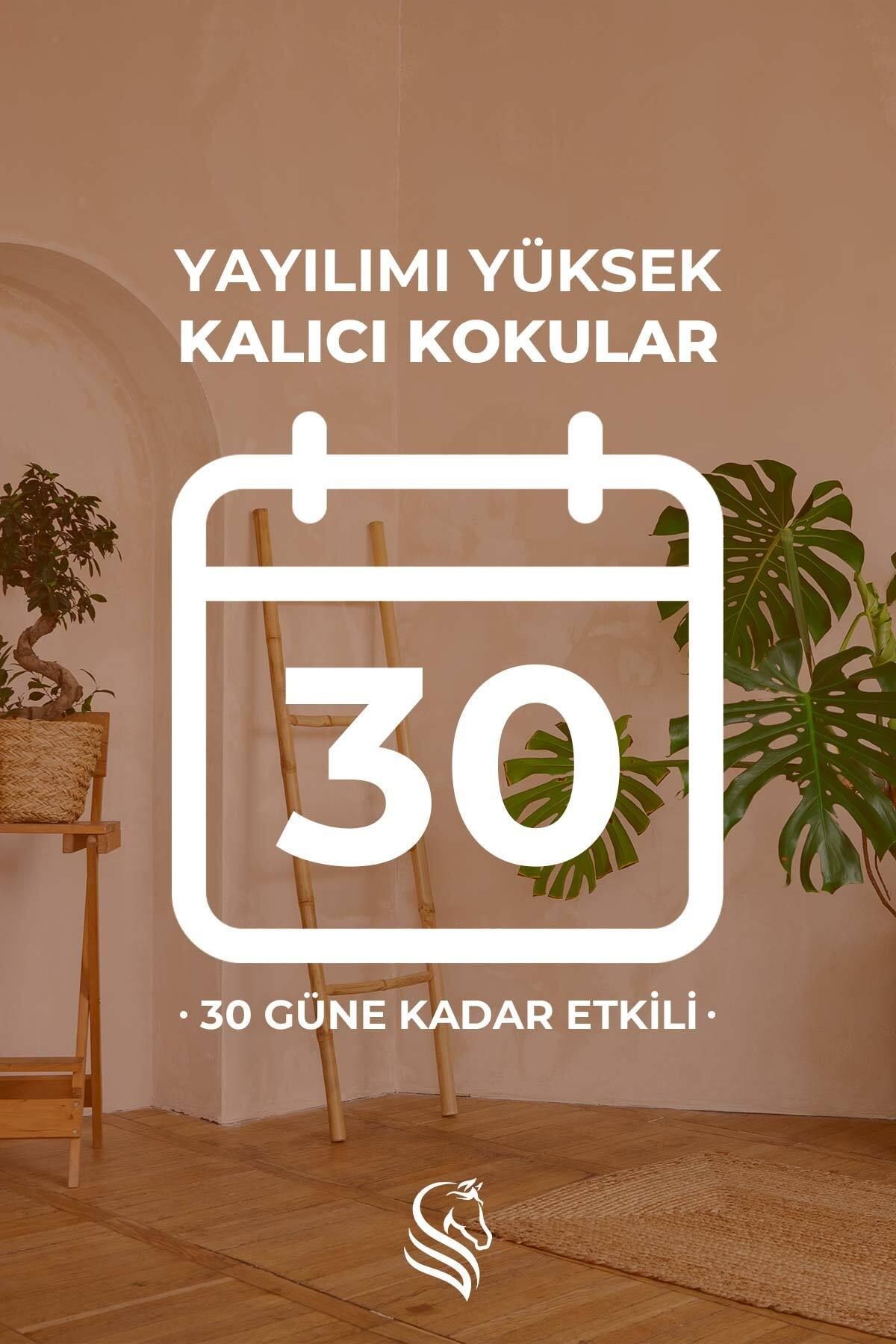 Mango Kokulu Çubuklu Oda Kokusu 110 ml
