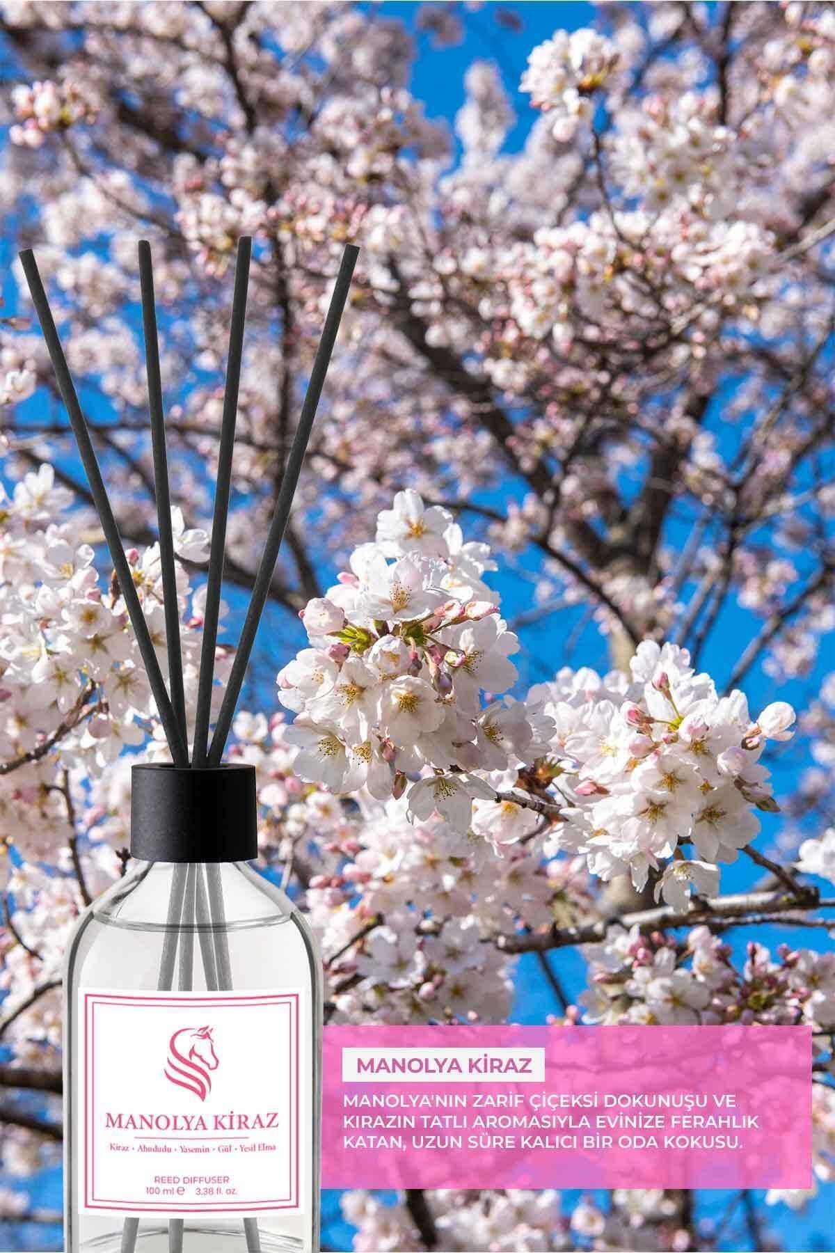 Manolya Kiraz Çubuklu Oda Kokusu Magnolia Cherry Reed Diffuser 100ml