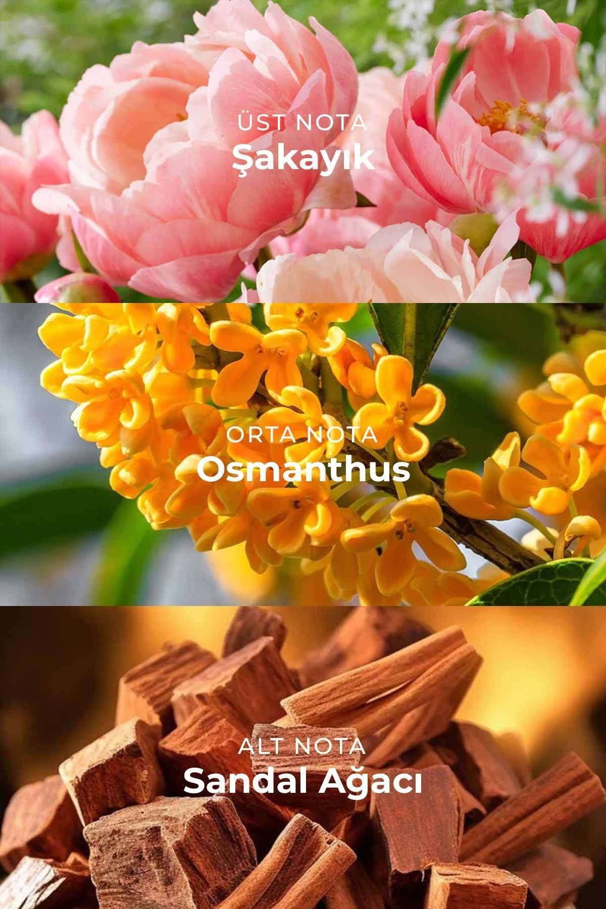 Flora Country Flowers Çiçeksi Özel Seri Uzun Süre Kalıcı 100 ml Edp Kadın Parfüm
