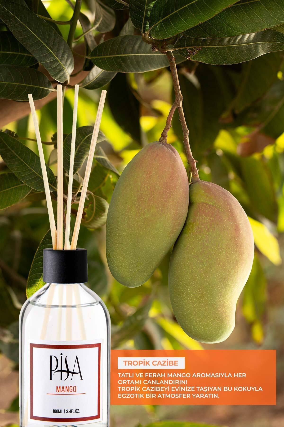 Mango Kokulu Çubuklu Oda Kokusu 110 ml