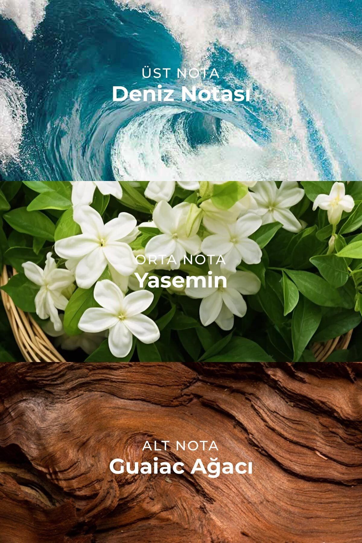 Vibe Invince Fresh Uzun Süre Kalıcı 100 ml Edt Erkek Parfüm