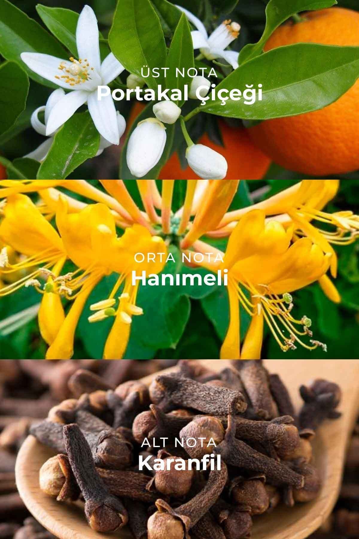 Hanımeli Çubuklu Oda Kokusu Honeysuckle Reed Diffuser 100ml
