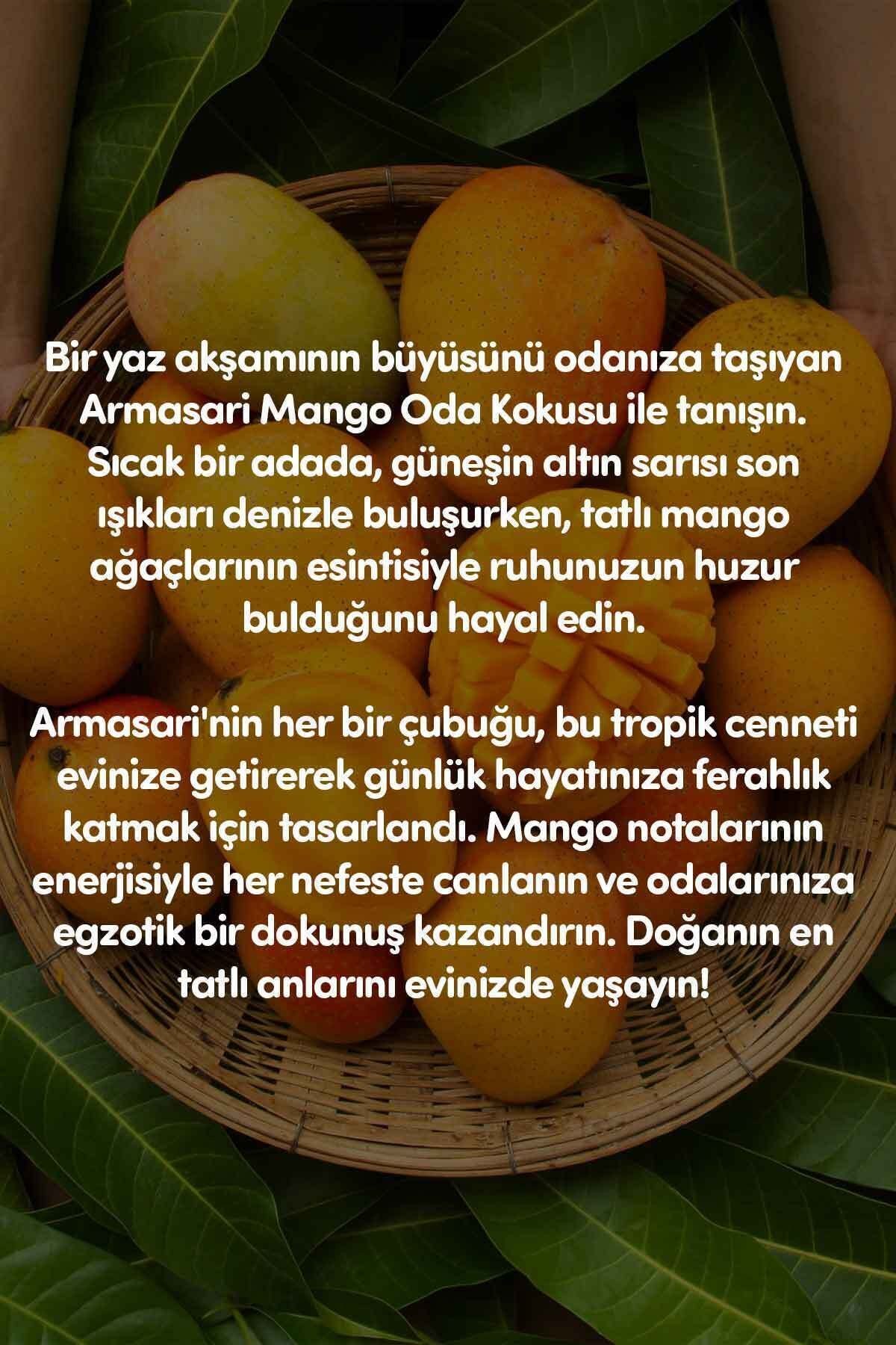 Mango Çubuklu Oda Kokusu Reed Diffuser 100ml