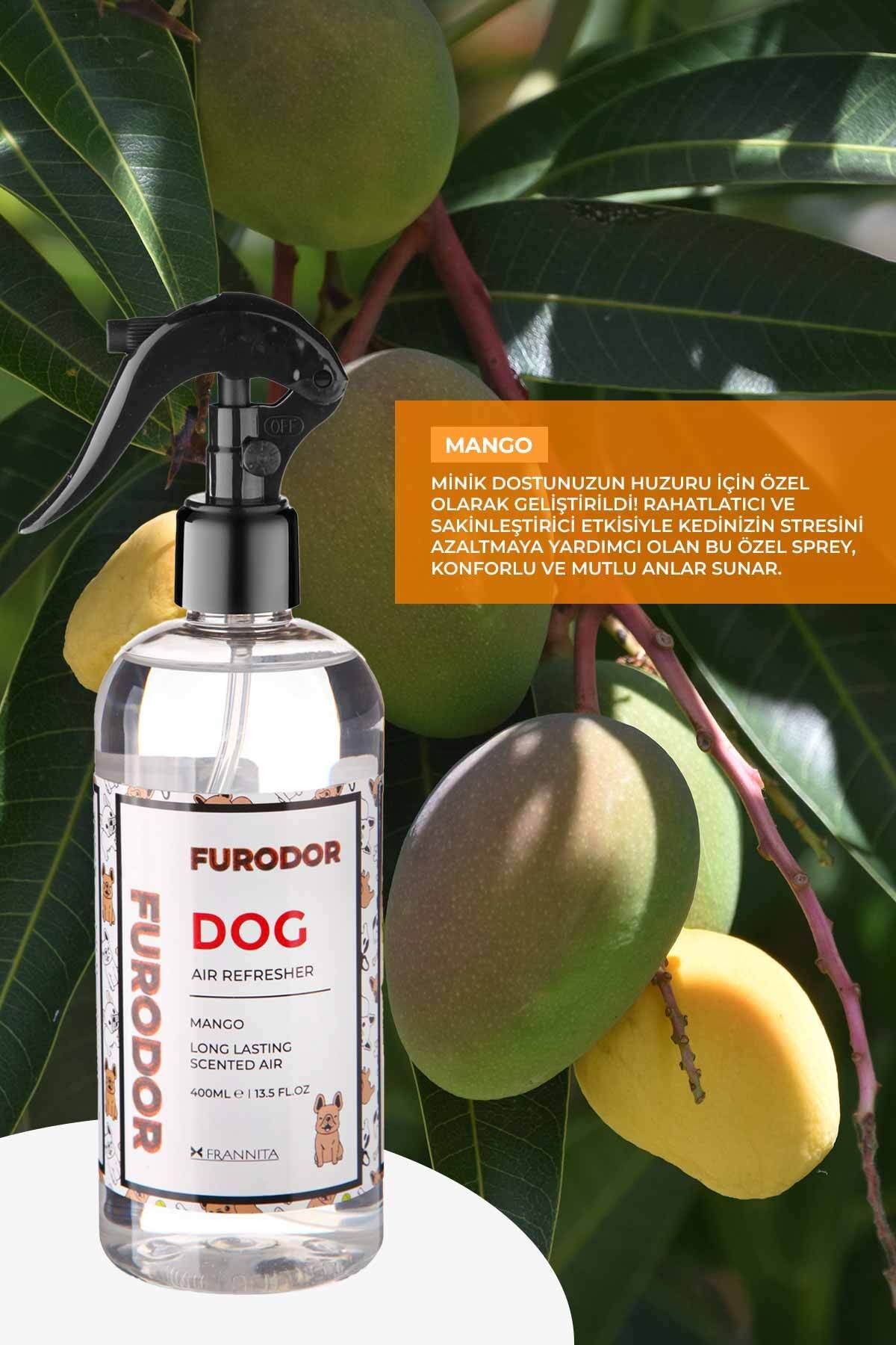Evcil Hayvan Özel Koku Seti Köpek Mango 100ml Oda Kokusu ve 400ml Oda Spreyi