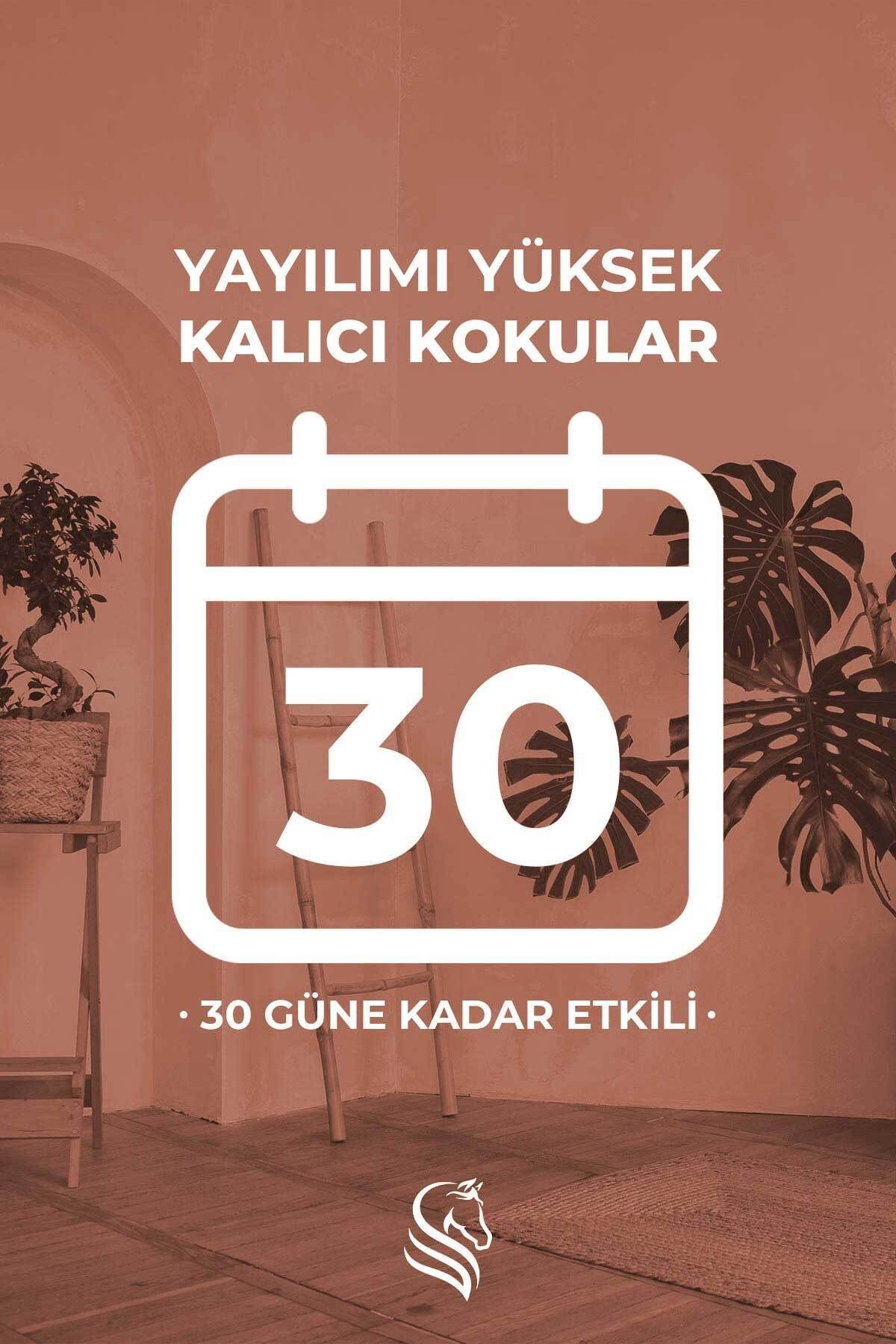 Sandal Ağacı Parfümlü Oda Ve Çamaşır Spreyi Ortam Ve Kumaş Kokusu Sandal Forest Room Spray 400ml