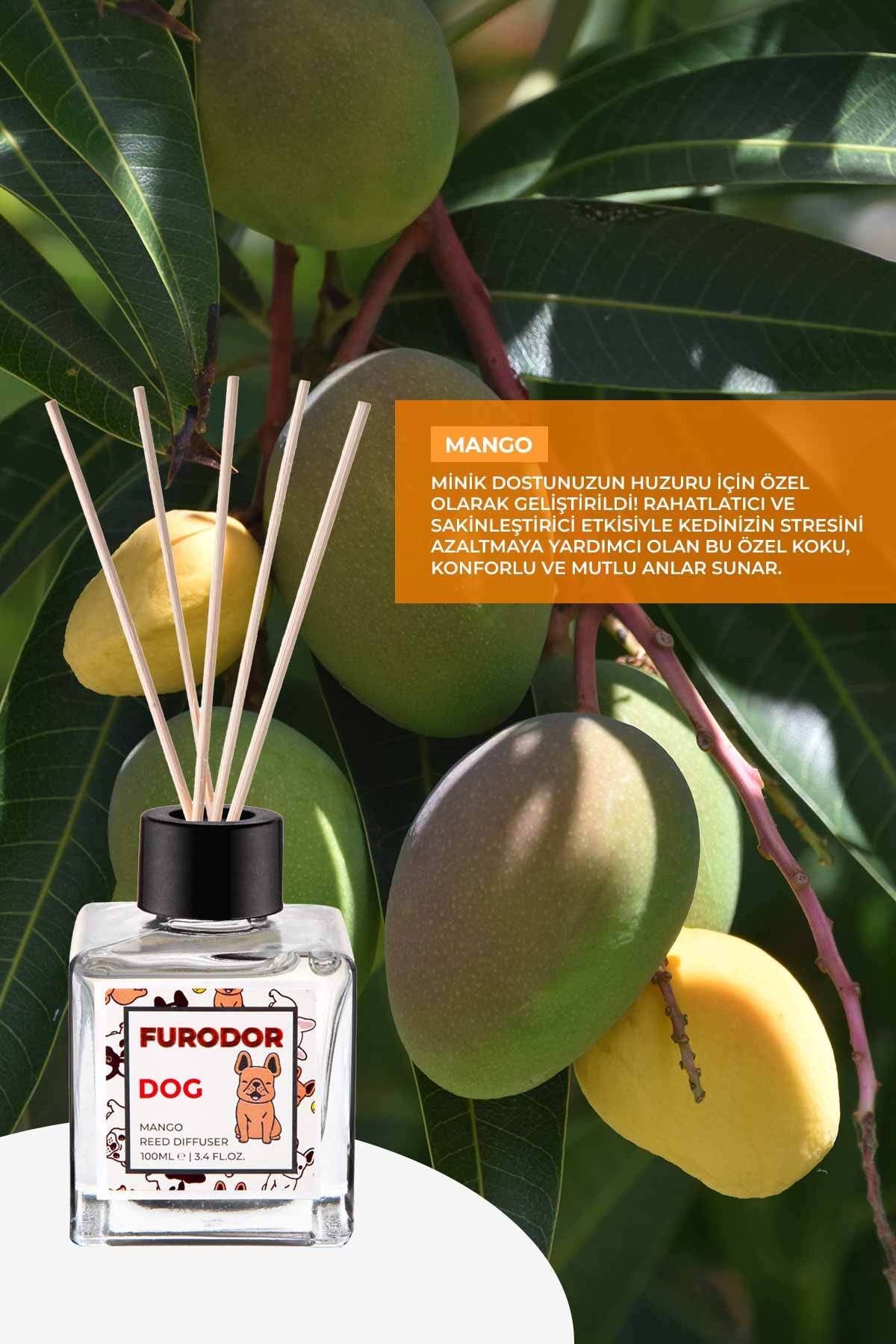 Köpekler Için Özel Mango Oda Kokusu Dog Mango Reed Diffuser 100ml