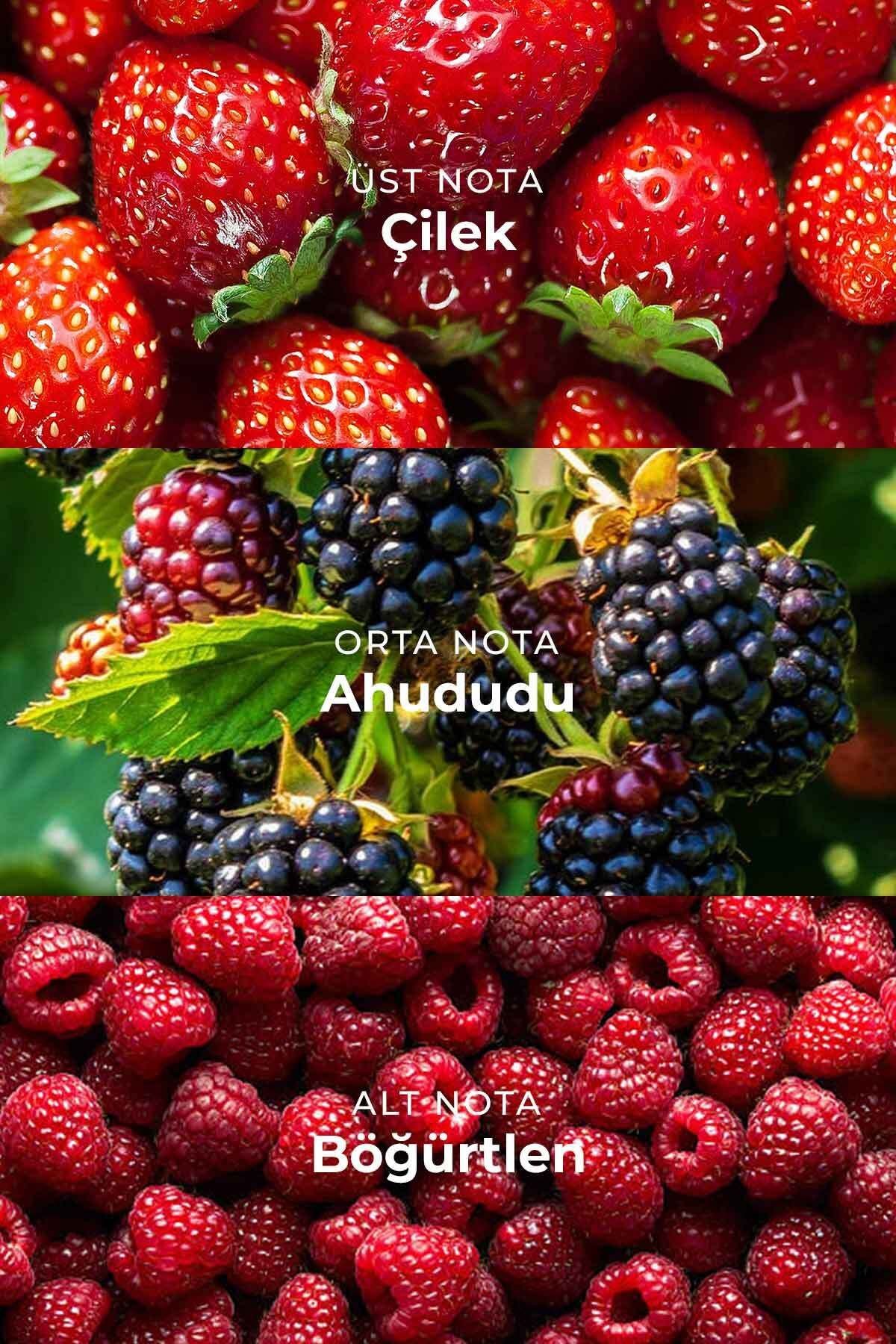 Berry Garden Parfümlü Kadın Vücut Spreyi Vücut Kokusu Vücut Misti Body Mist Spray 150ml