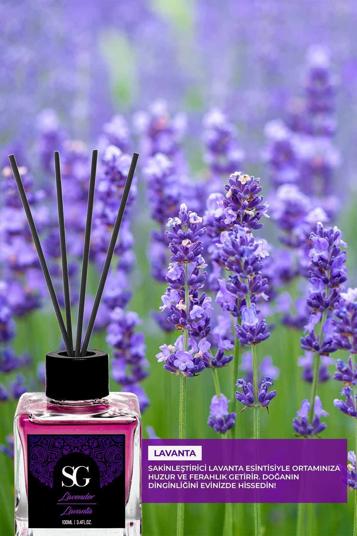 Lavanta Kokulu Çubuklu Oda Kokusu Lavender Reed Diffuser 100ml