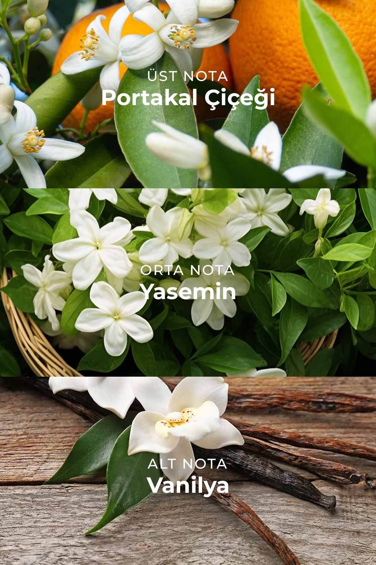 Rose Way Çiçeksi Kalıcı 35ml Edp Kadın Parfüm