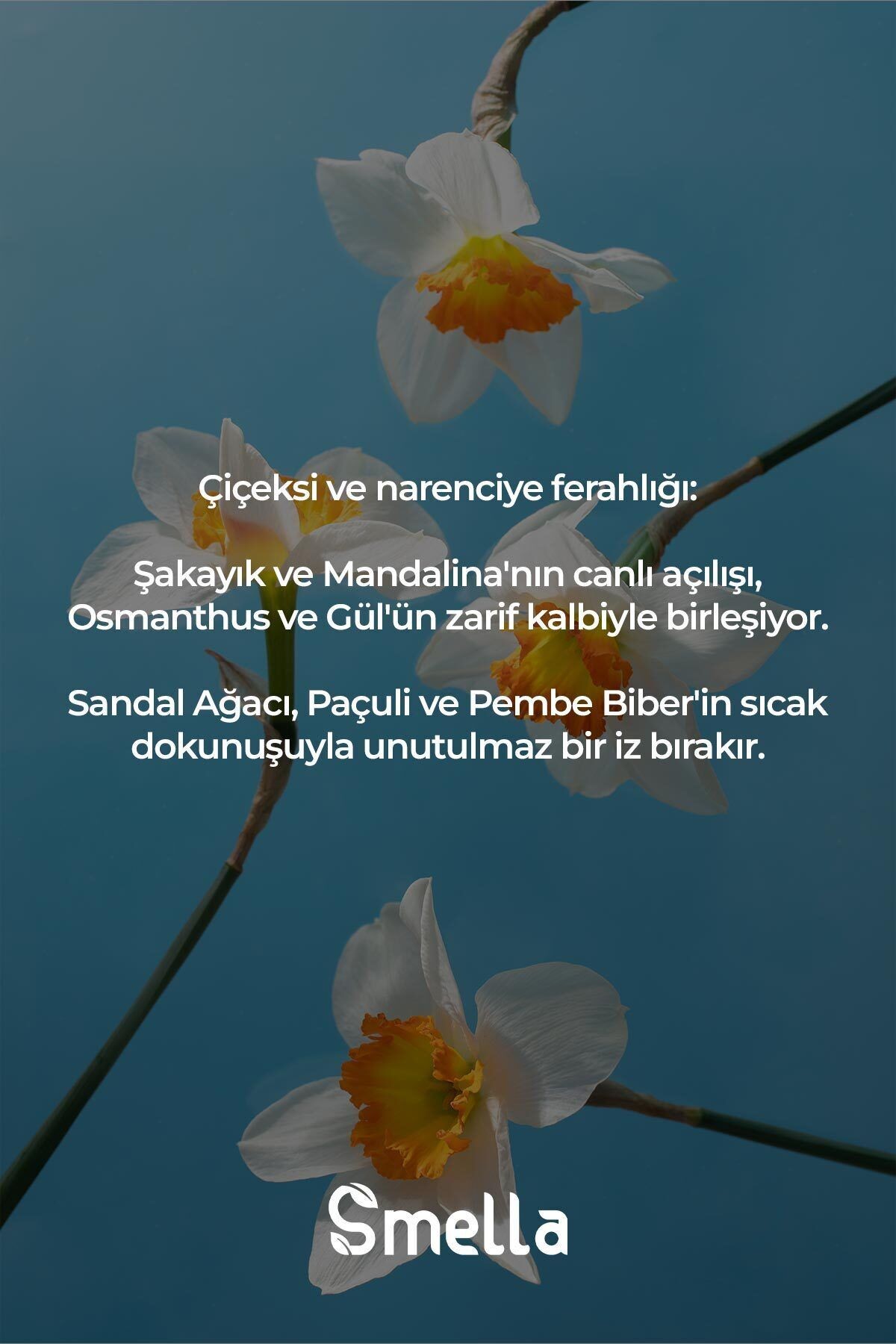 Flora Country Flowers Çiçeksi Özel Seri Uzun Süre Kalıcı 100 ml Edp Kadın Parfüm
