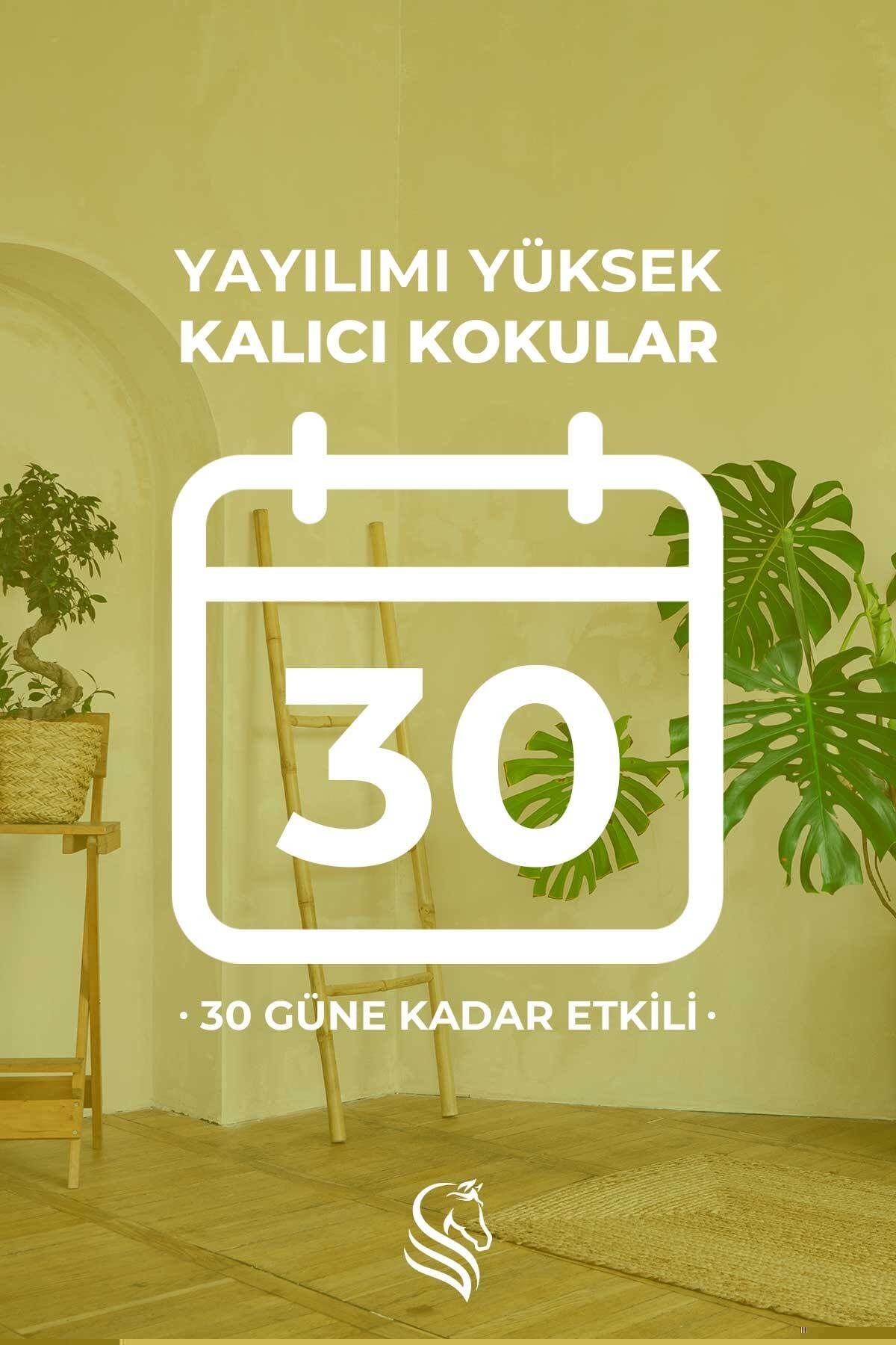 Cherry Magnolia Çiçekli Cam Vazolu Refilli Dekoratif Oda Kokusu 100ml