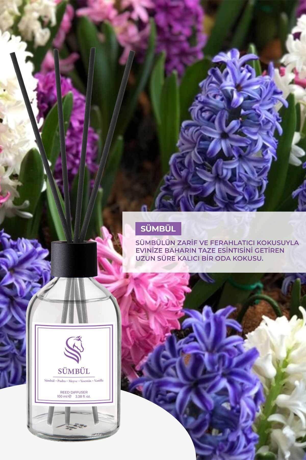 Sümbül Çubuklu Oda Kokusu Hyacinth Reed Diffuser 100ml