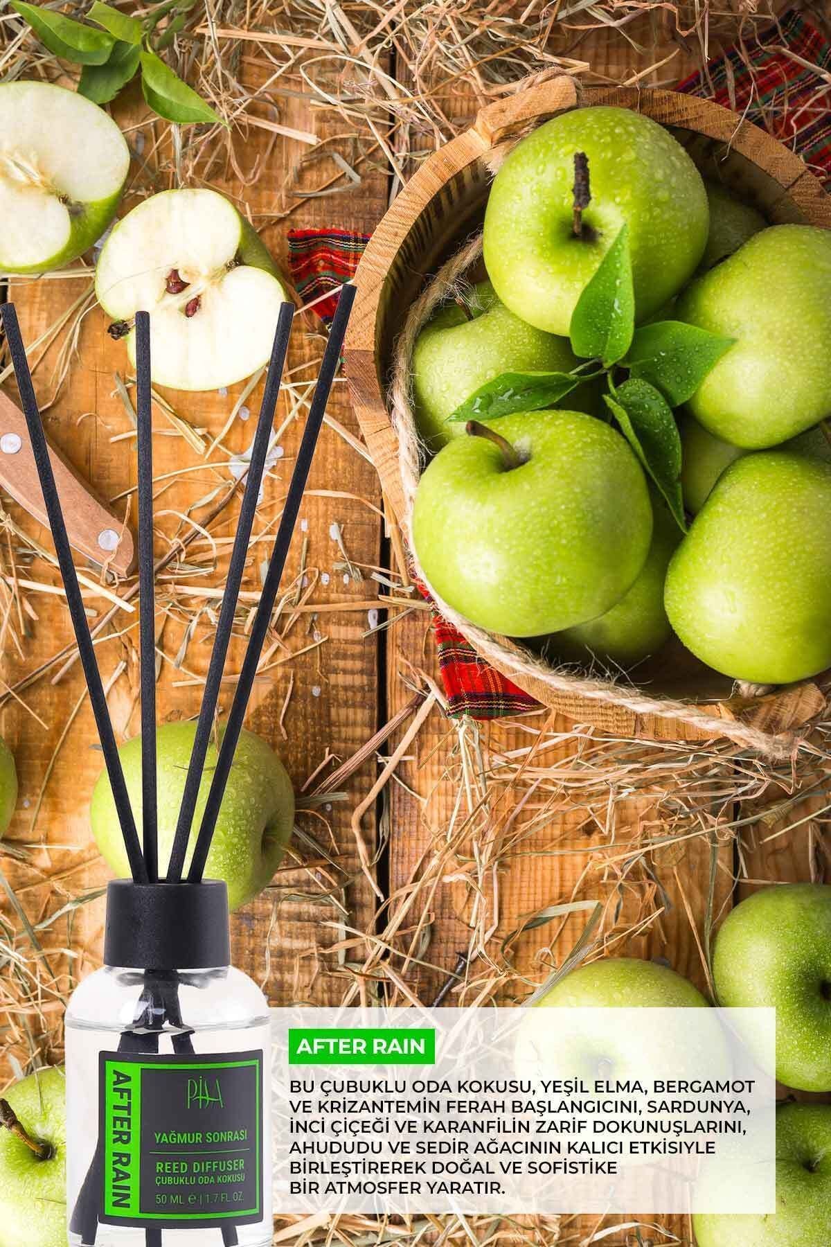 Yağmur Sonrası Çubuklu Oda Kokusu After Rain Reed Diffuser 50ml