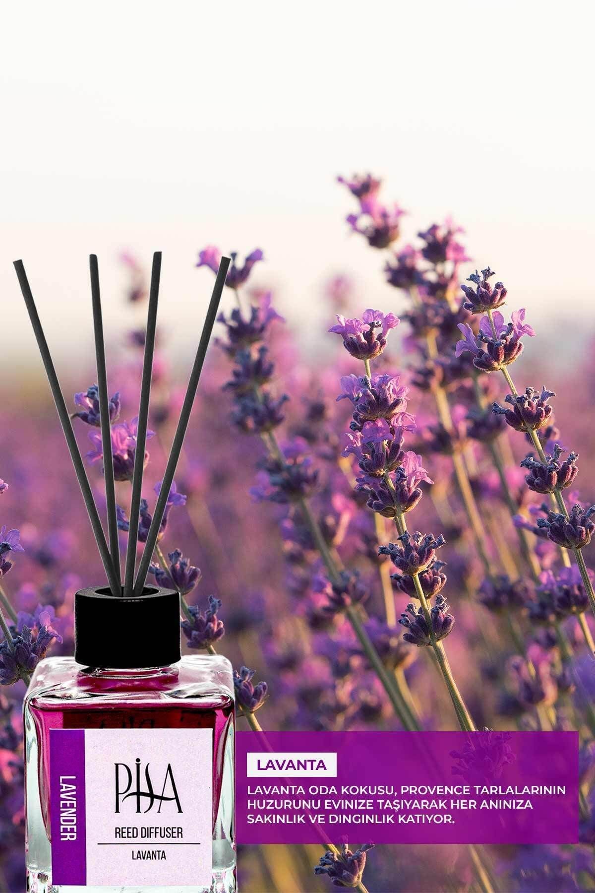 Lavanta Çubuklu Oda Kokusu Lavender Reed Diffuser 100ml