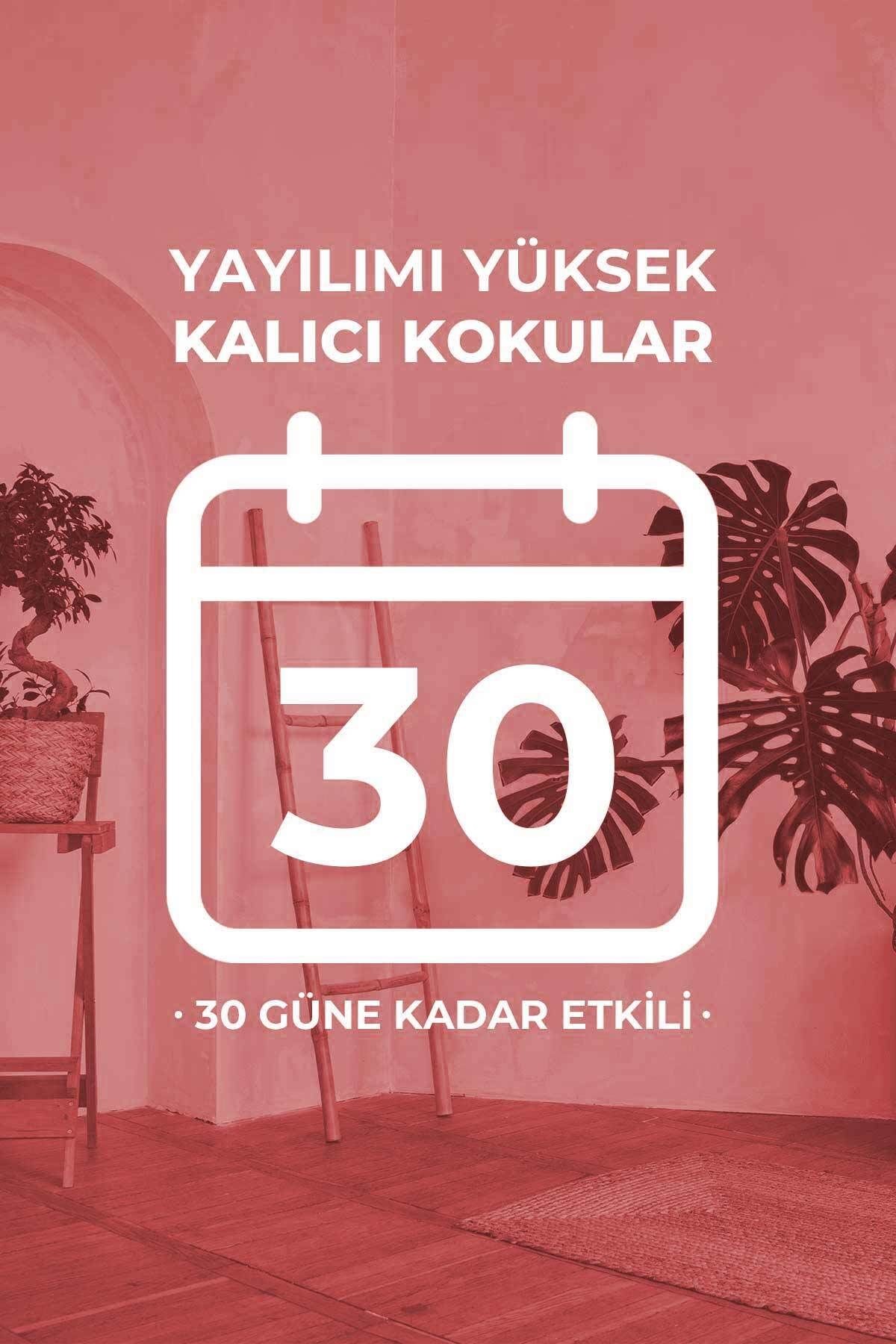 Çilek Çubuklu Oda Kokusu Strawberry Reed Diffuser 100ml