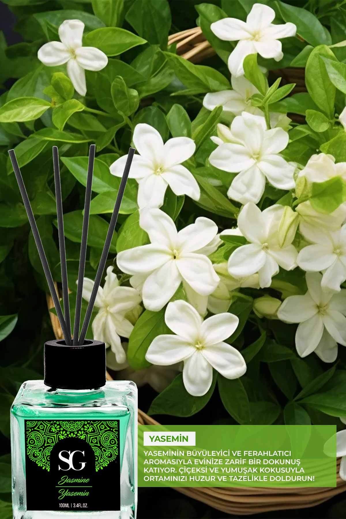 Yasemin Kokulu Çubuklu Oda Kokusu Jasmine Reed Diffuser 100ml