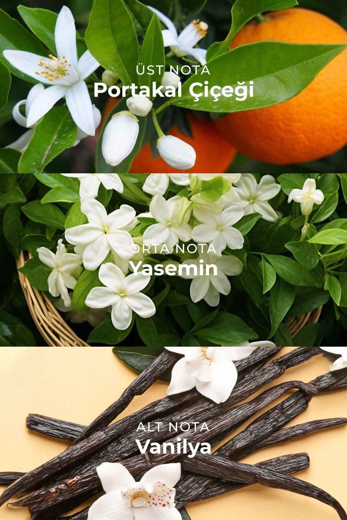 Orange Flower Parfümlü Kadın Vücut Spreyi Vücut Kokusu Vücut Misti Body Mist Spray 150ml
